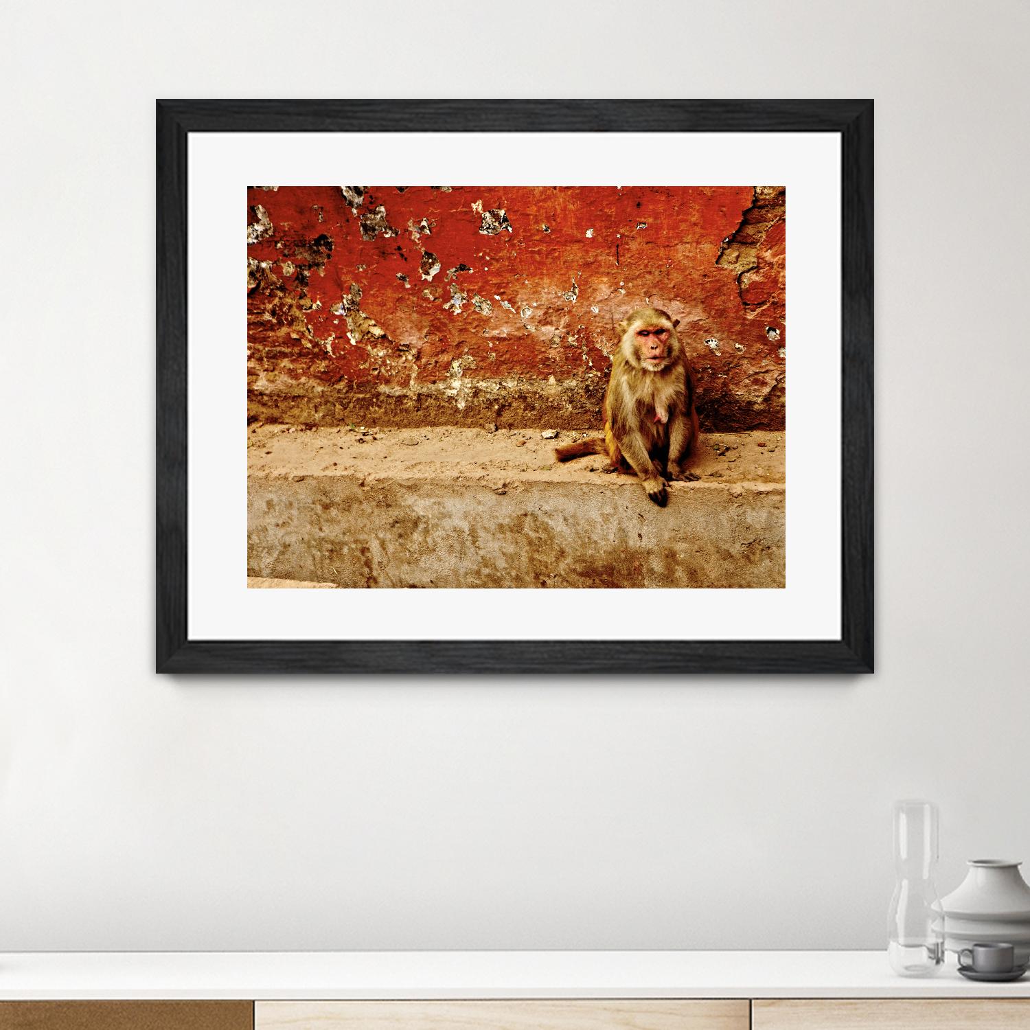 Monkey by Peter Morneau on GIANT ART - orange photo art