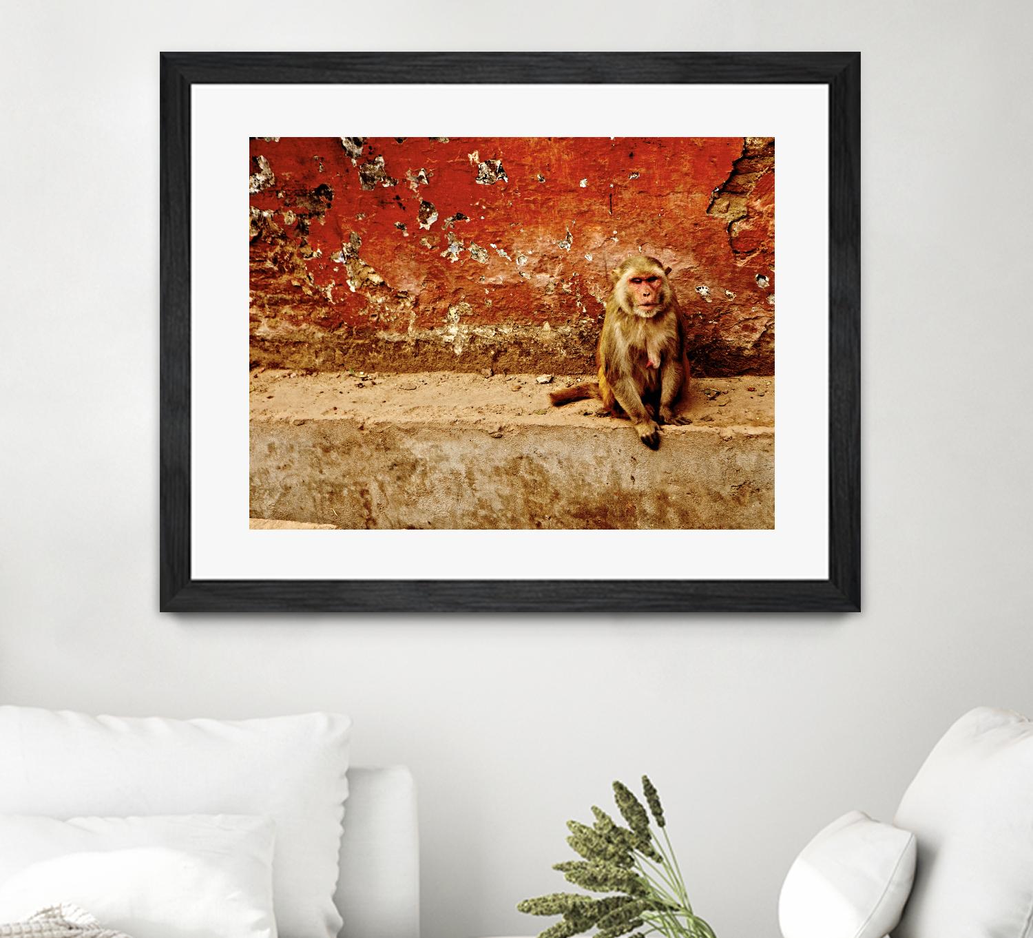 Monkey by Peter Morneau on GIANT ART - orange photo art