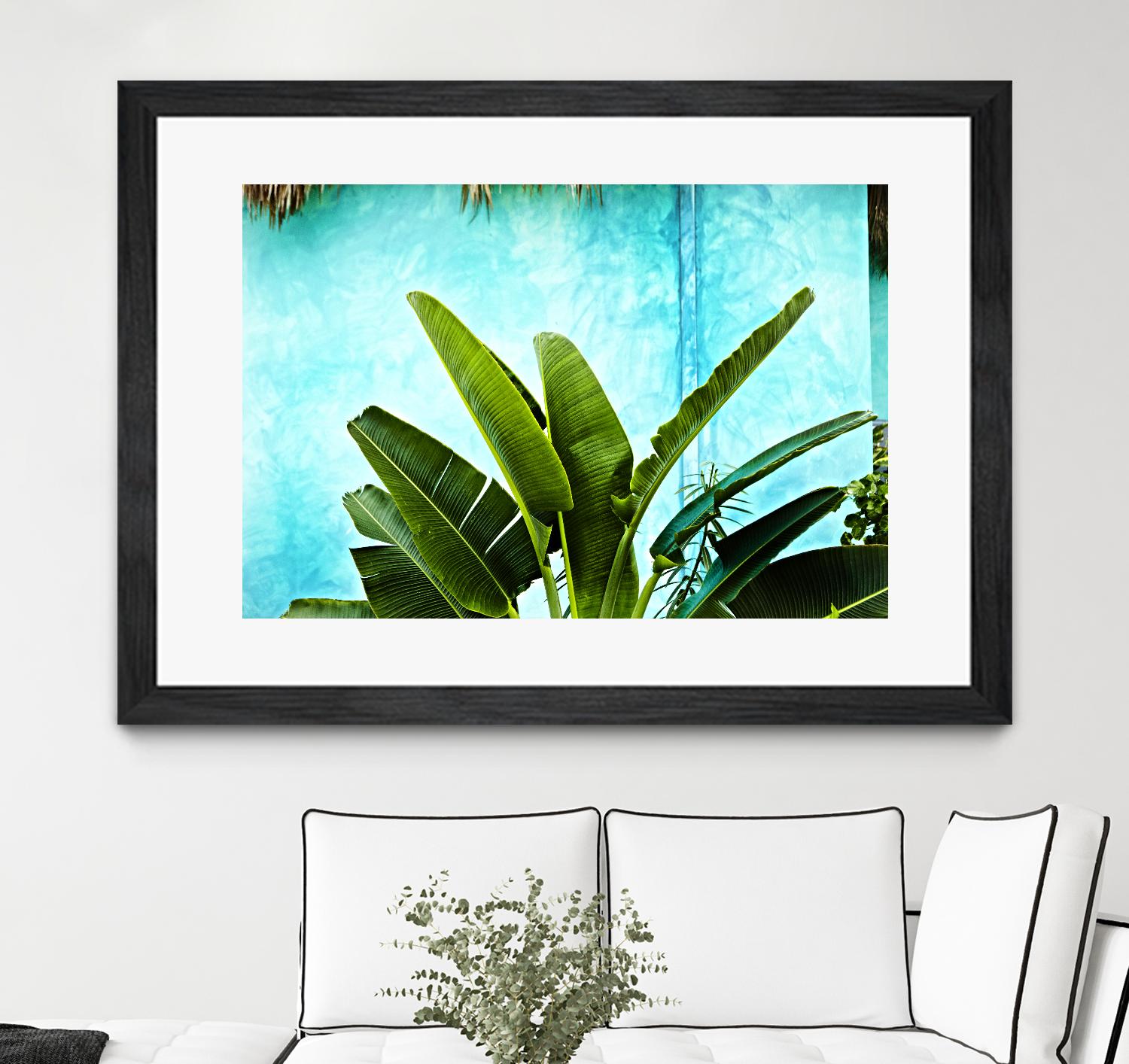 Tropical II by Peter Morneau on GIANT ART - green photo art