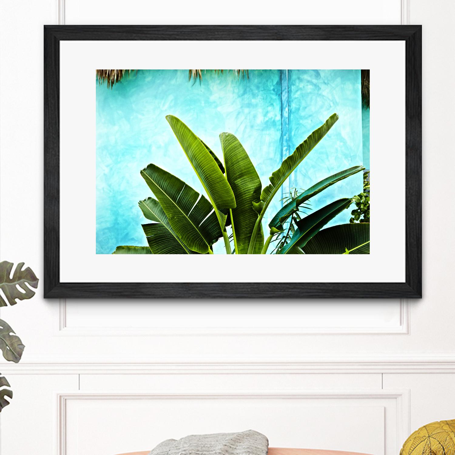 Tropical II by Peter Morneau on GIANT ART - green photo art