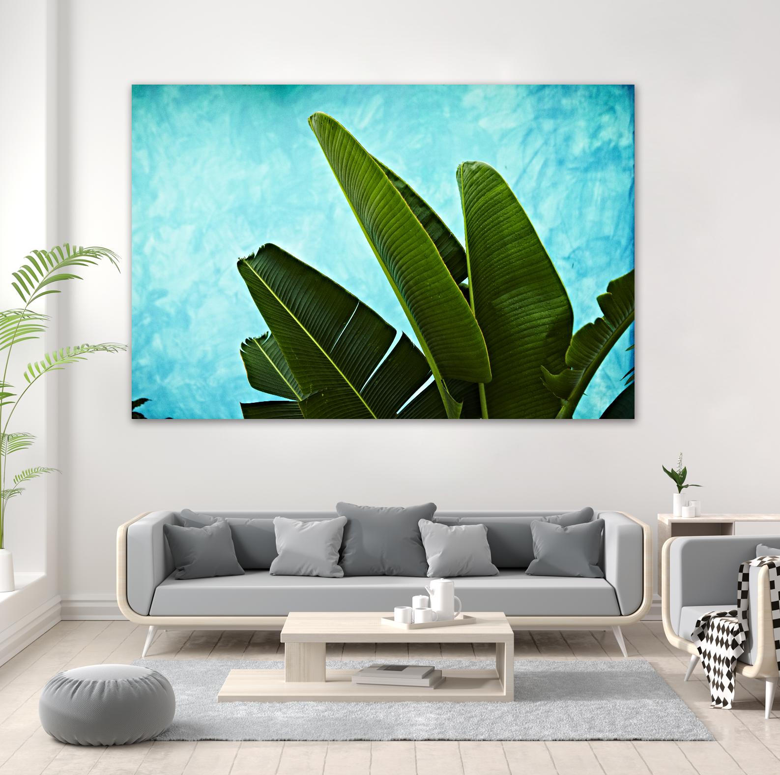 Tropical III by Peter Morneau on GIANT ART - green photo art