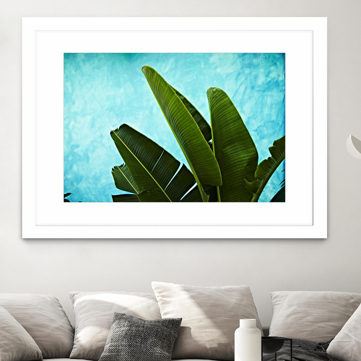 Tropical III by Peter Morneau on GIANT ART - green photo art