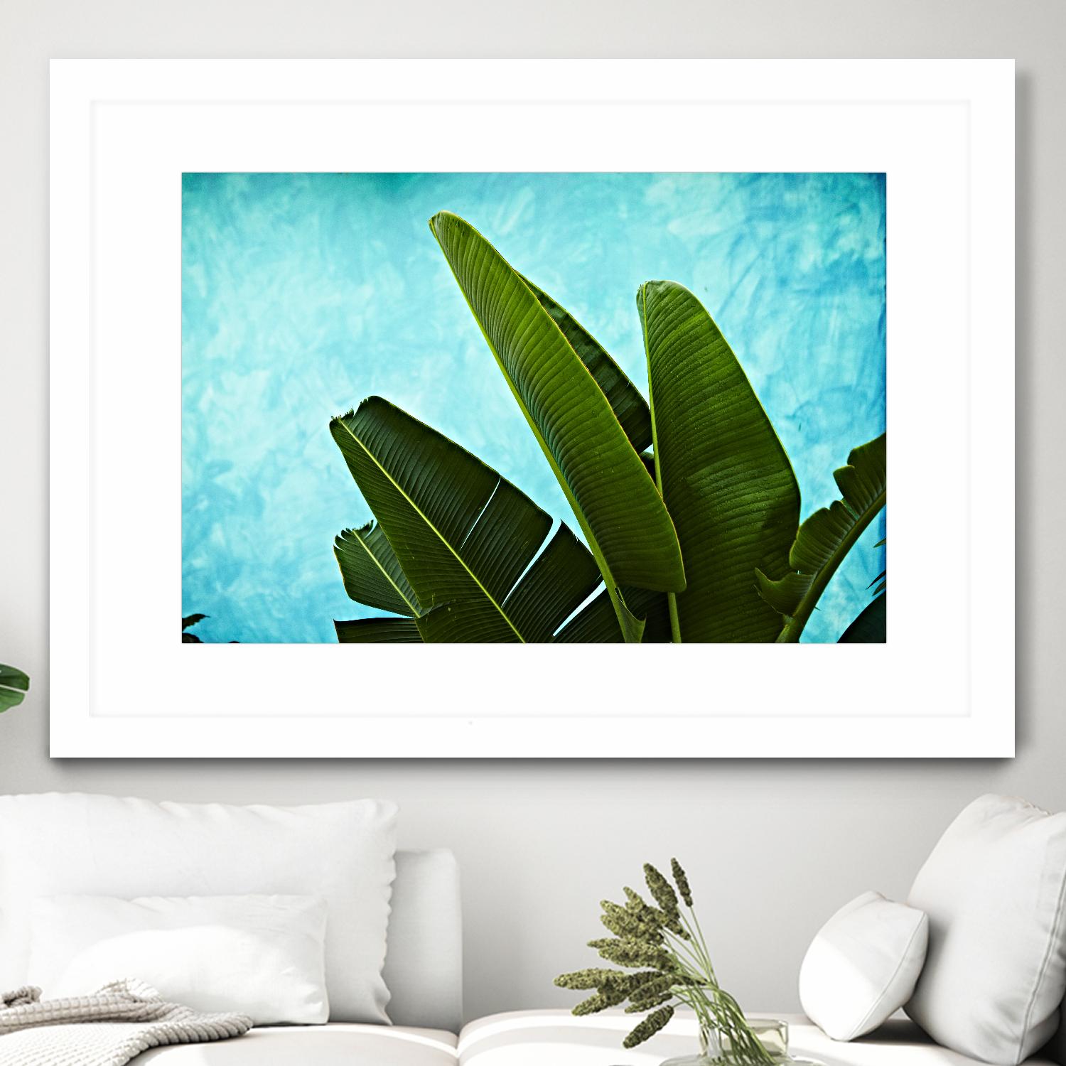 Tropical III by Peter Morneau on GIANT ART - green photo art