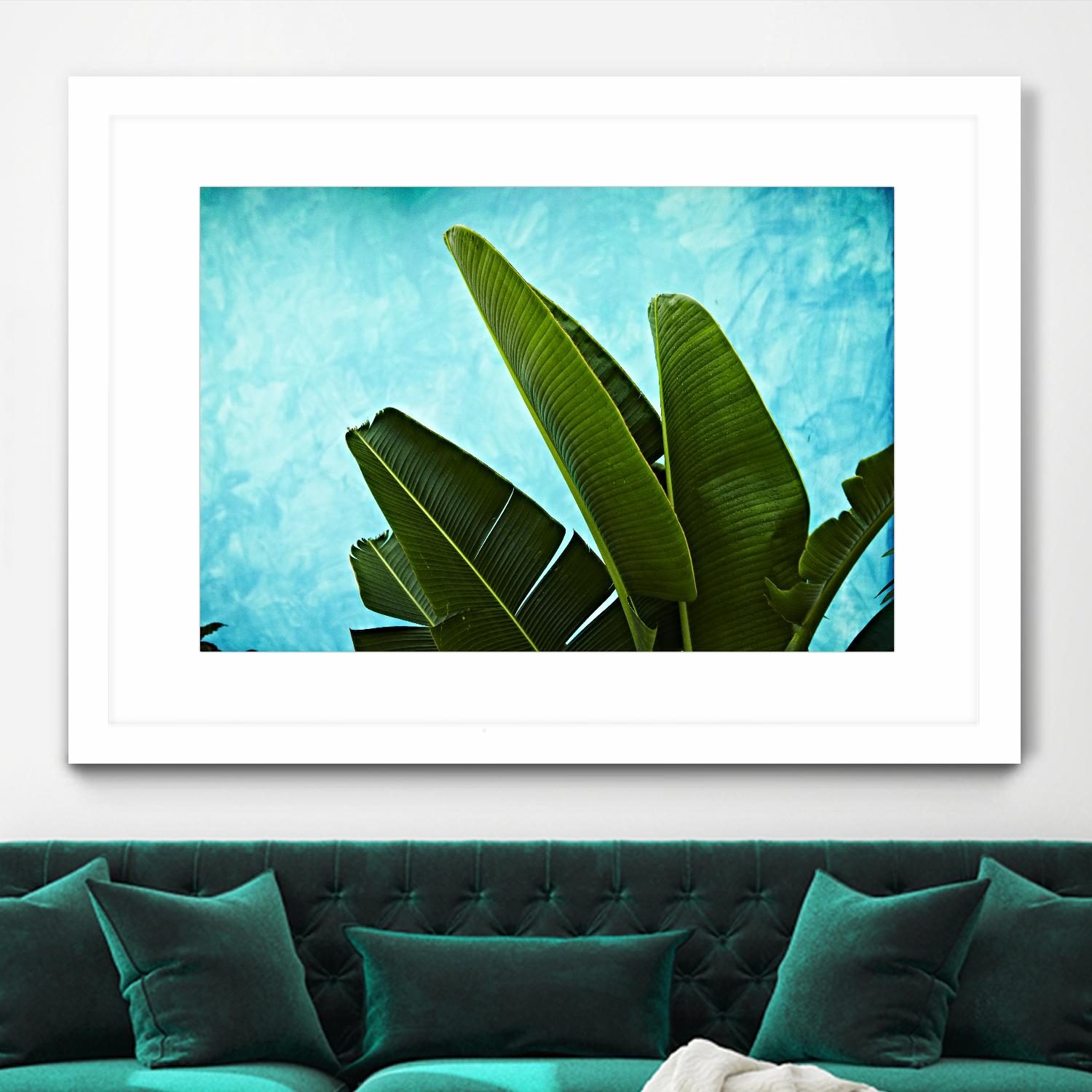 Tropical III by Peter Morneau on GIANT ART - green photo art