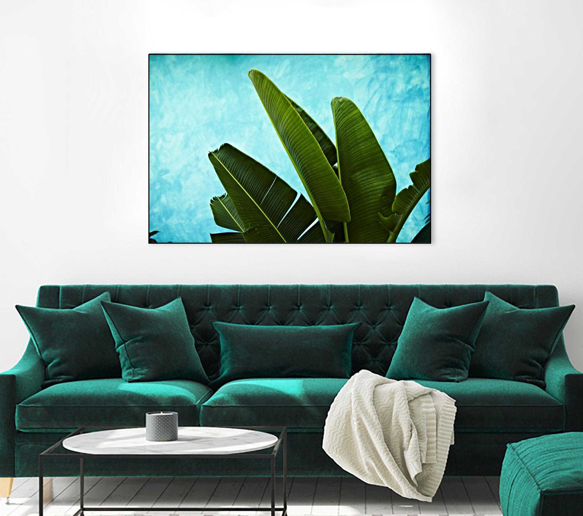 Tropical III by Peter Morneau on GIANT ART - green photo art