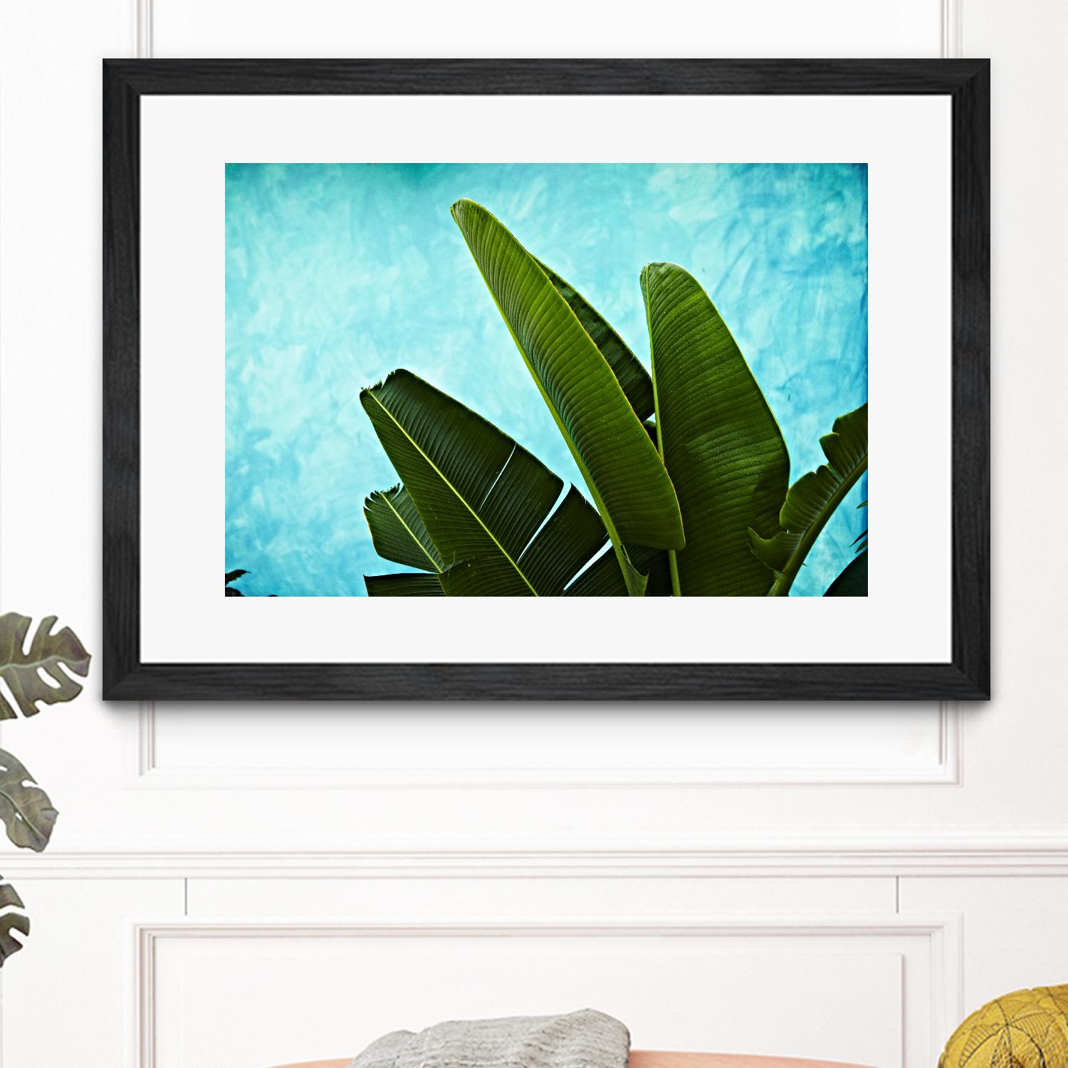 Tropical III by Peter Morneau on GIANT ART - green photo art