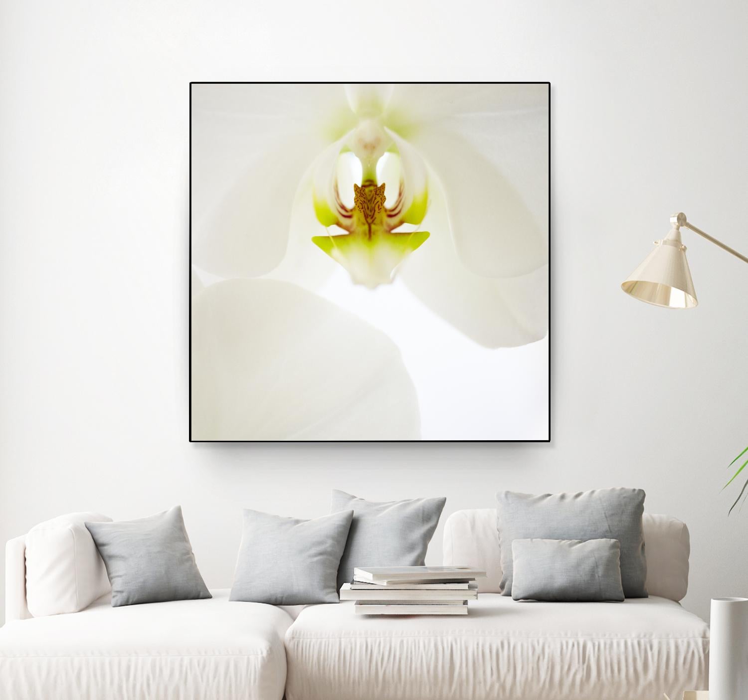 Flower by Peter Morneau on GIANT ART - green photo art