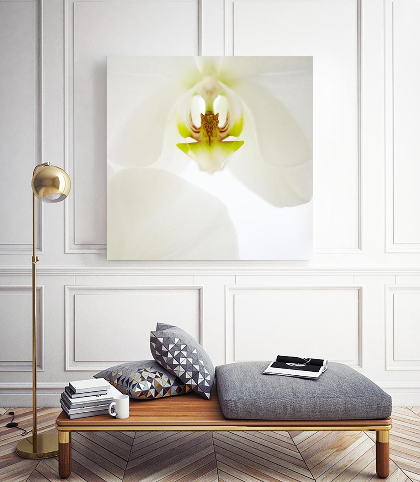 Flower by Peter Morneau on GIANT ART - green photo art