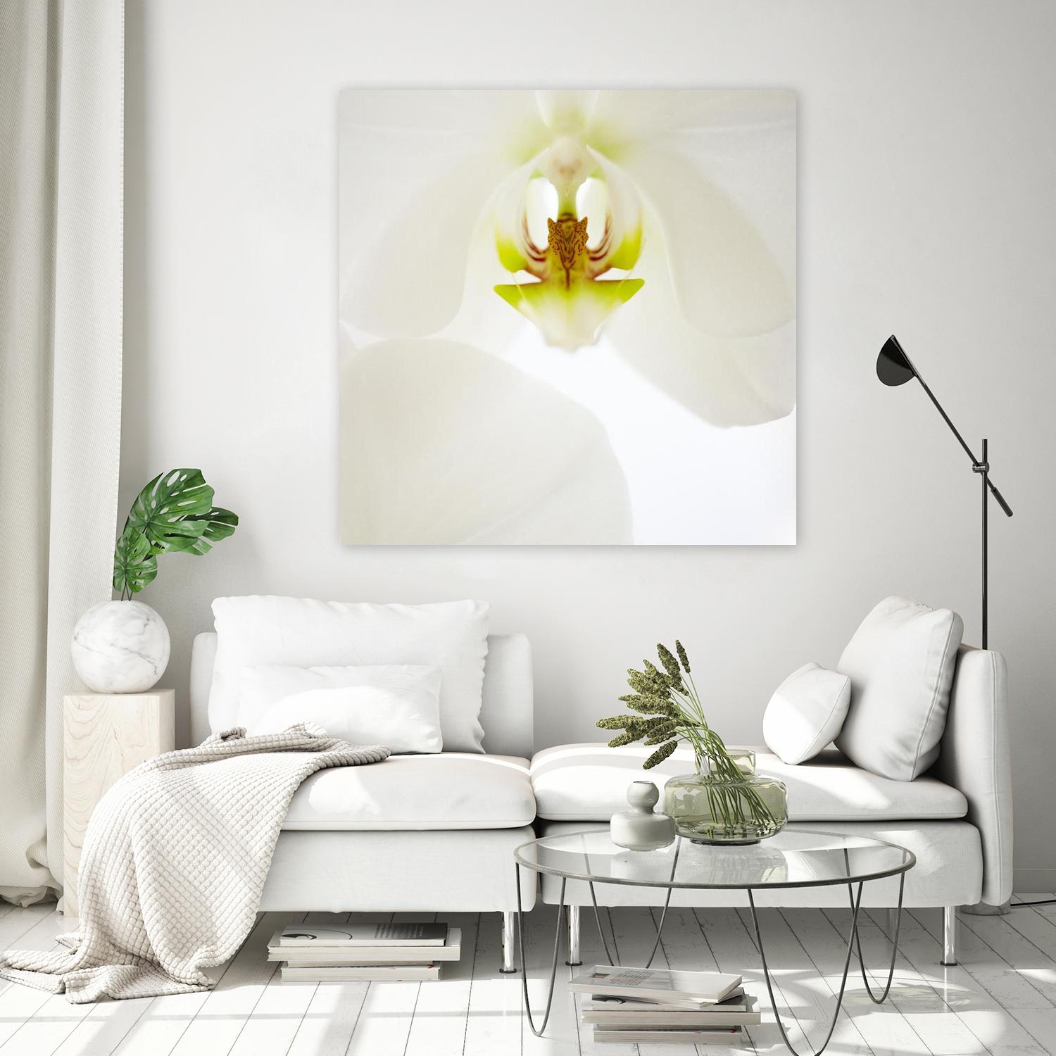 Flower by Peter Morneau on GIANT ART - green photo art