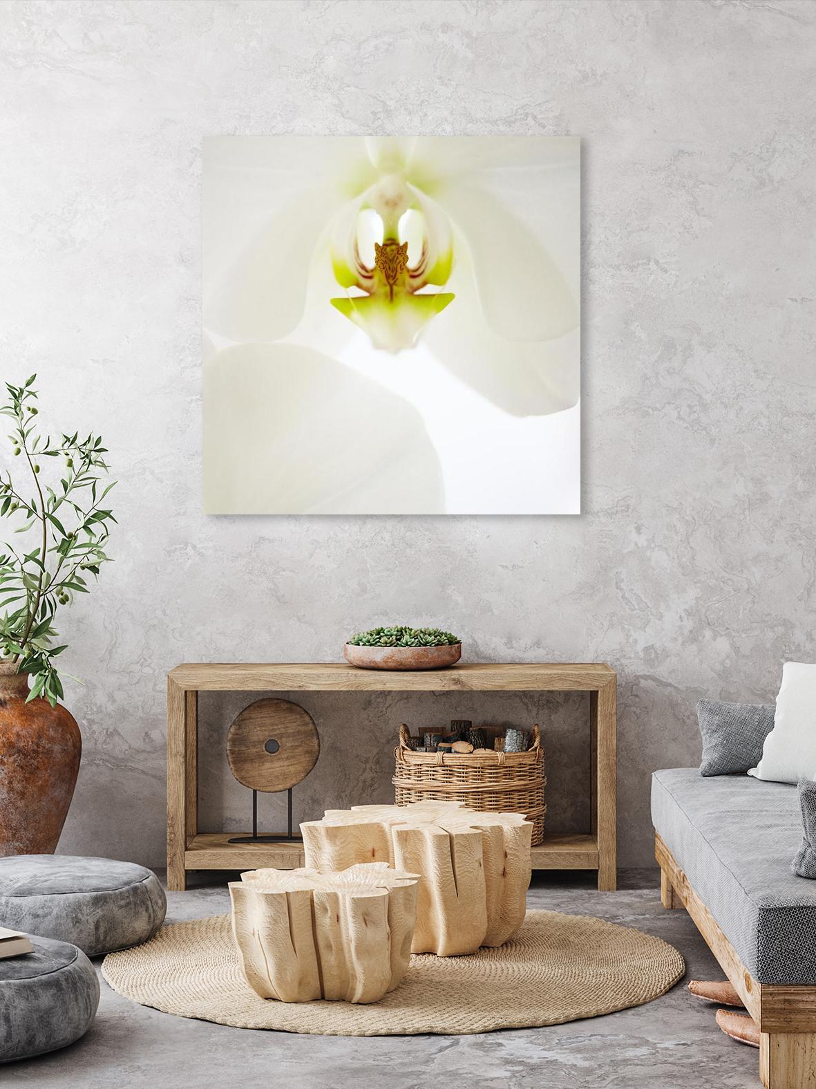 Flower by Peter Morneau on GIANT ART - green photo art