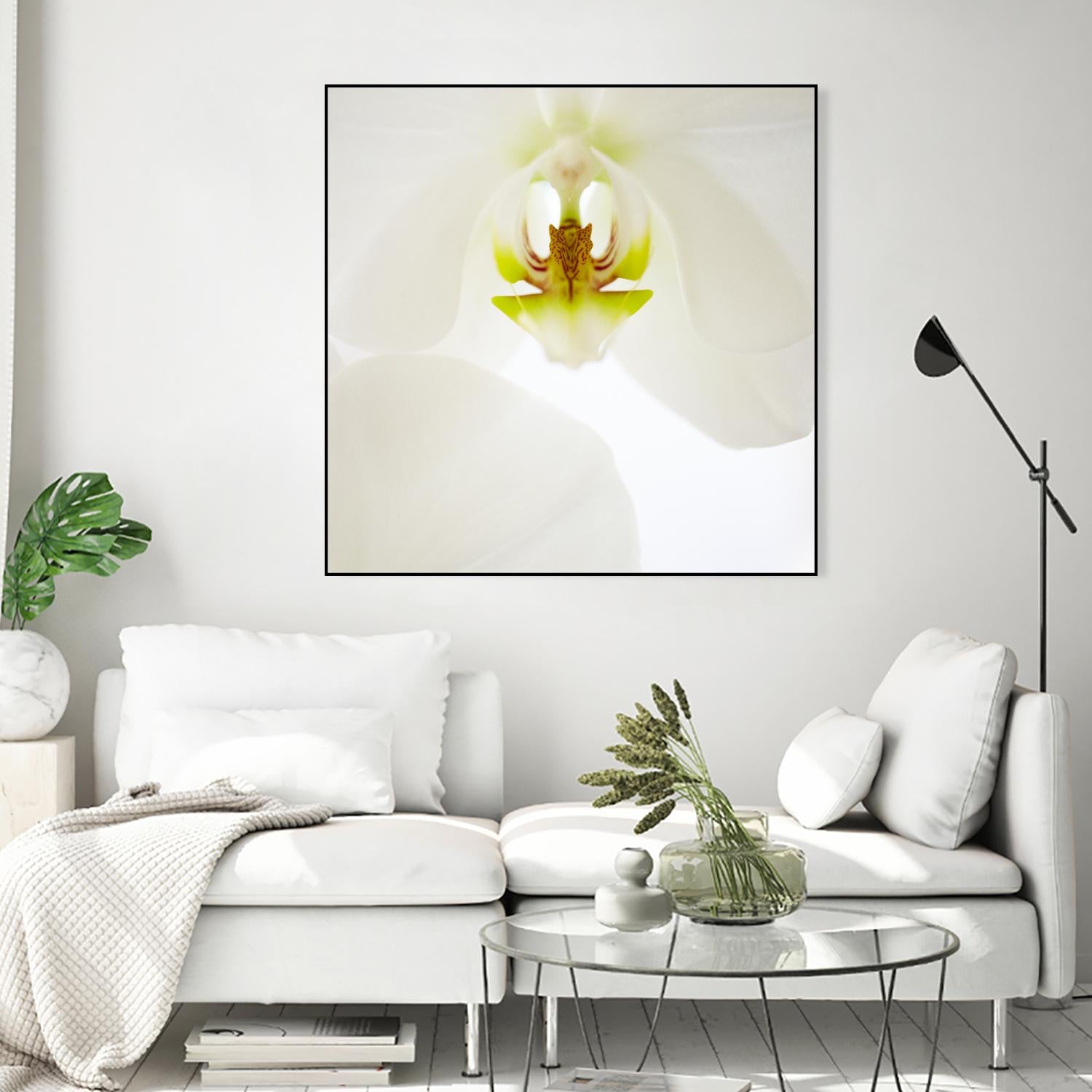 Flower by Peter Morneau on GIANT ART - green photo art