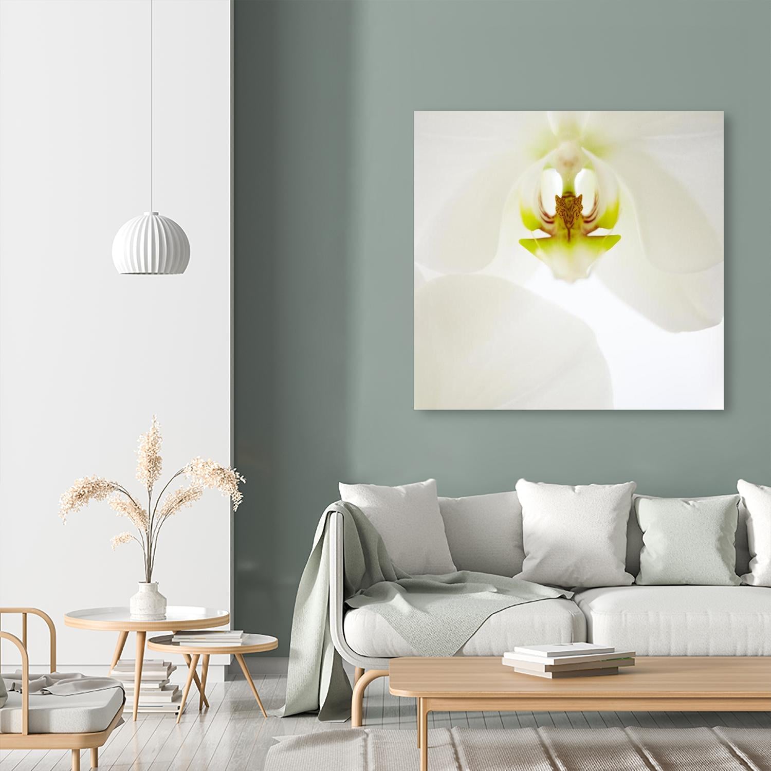 Flower by Peter Morneau on GIANT ART - green photo art