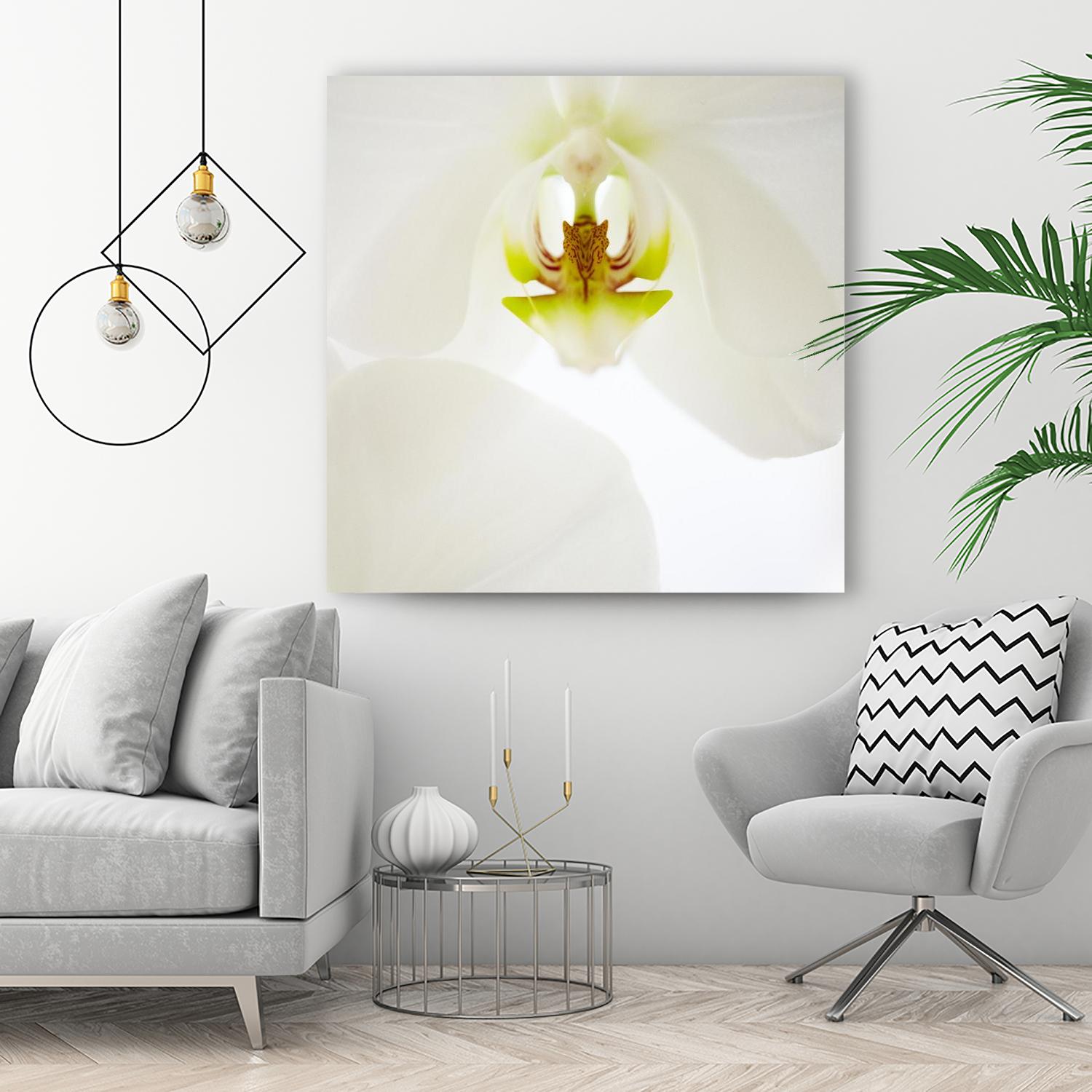 Flower by Peter Morneau on GIANT ART - green photo art