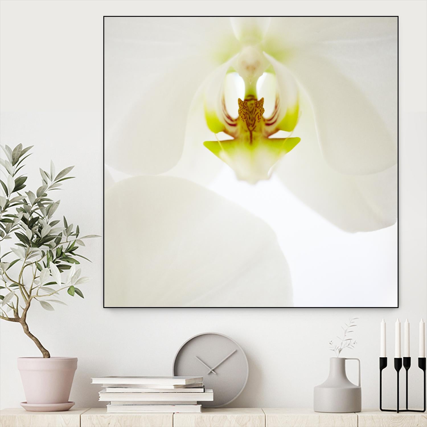 Flower by Peter Morneau on GIANT ART - green photo art