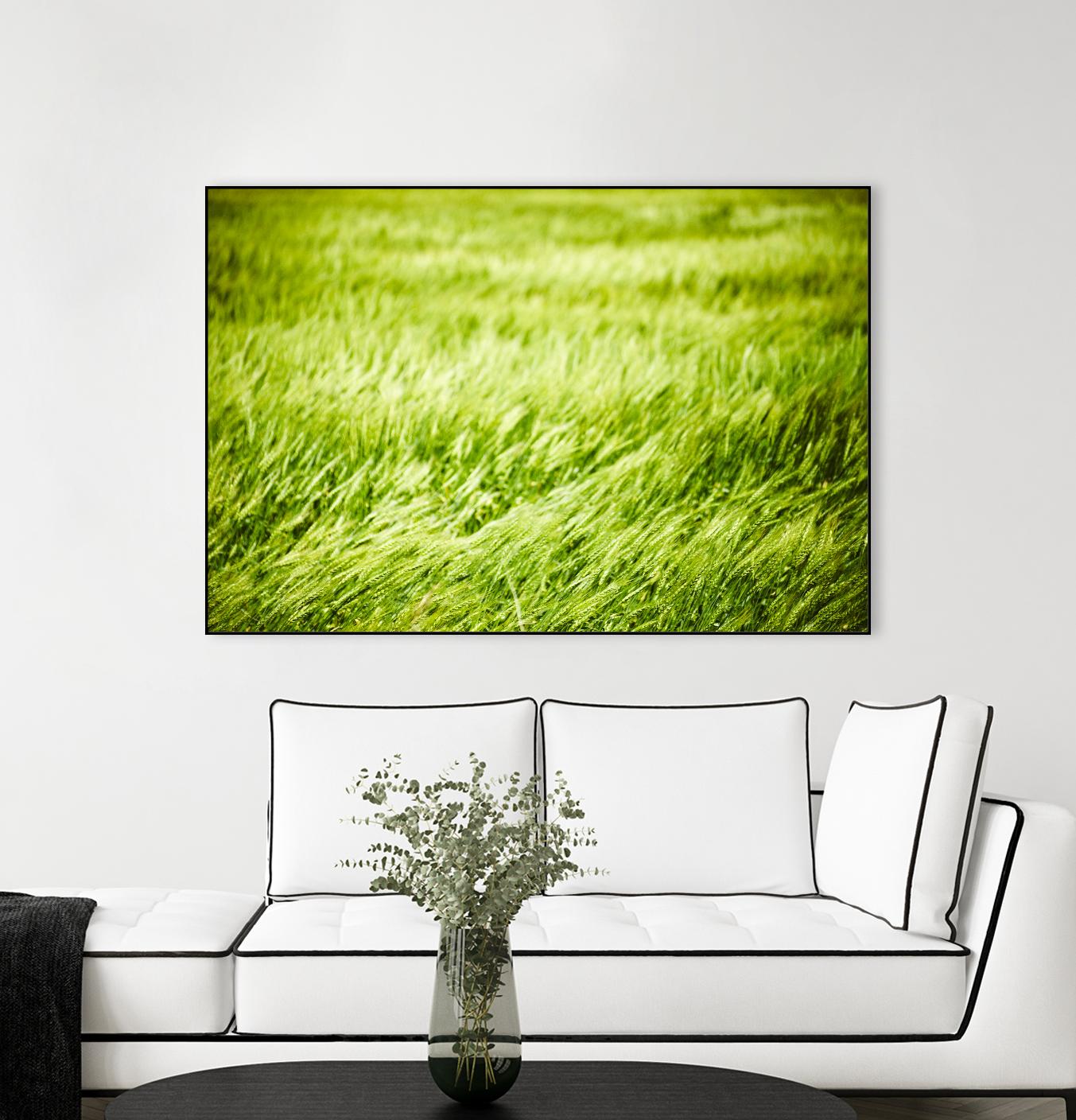 Grass I by Peter Morneau on GIANT ART - green photo art