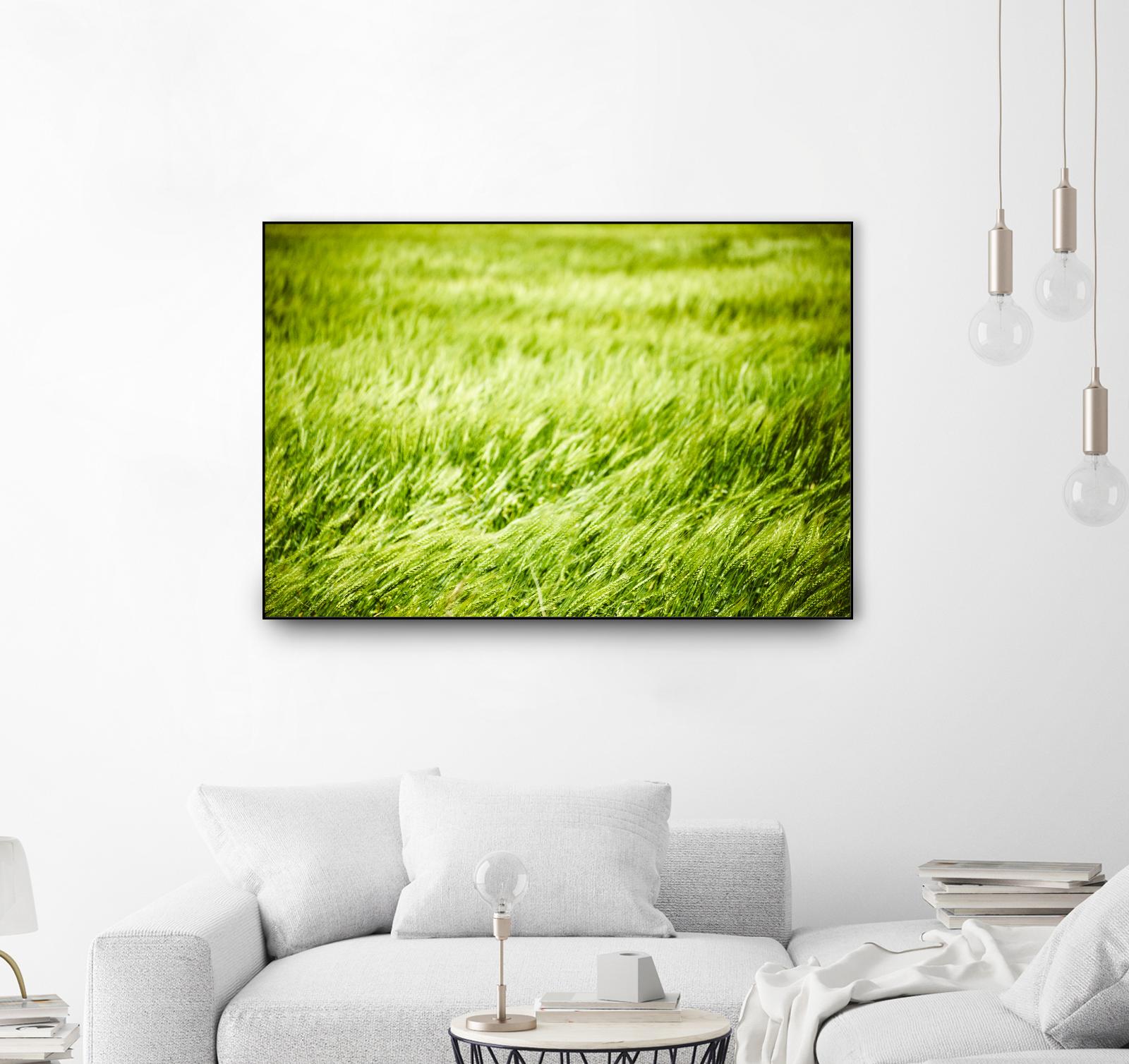 Grass I by Peter Morneau on GIANT ART - green photo art