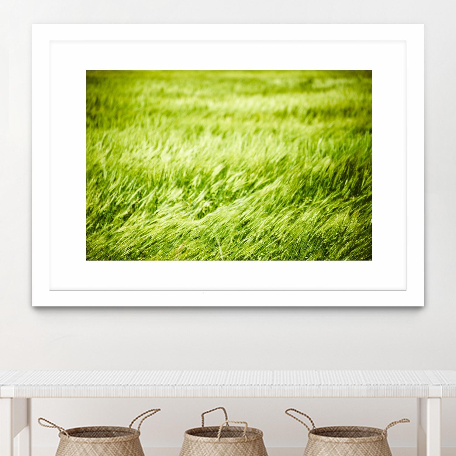 Grass I by Peter Morneau on GIANT ART - green photo art