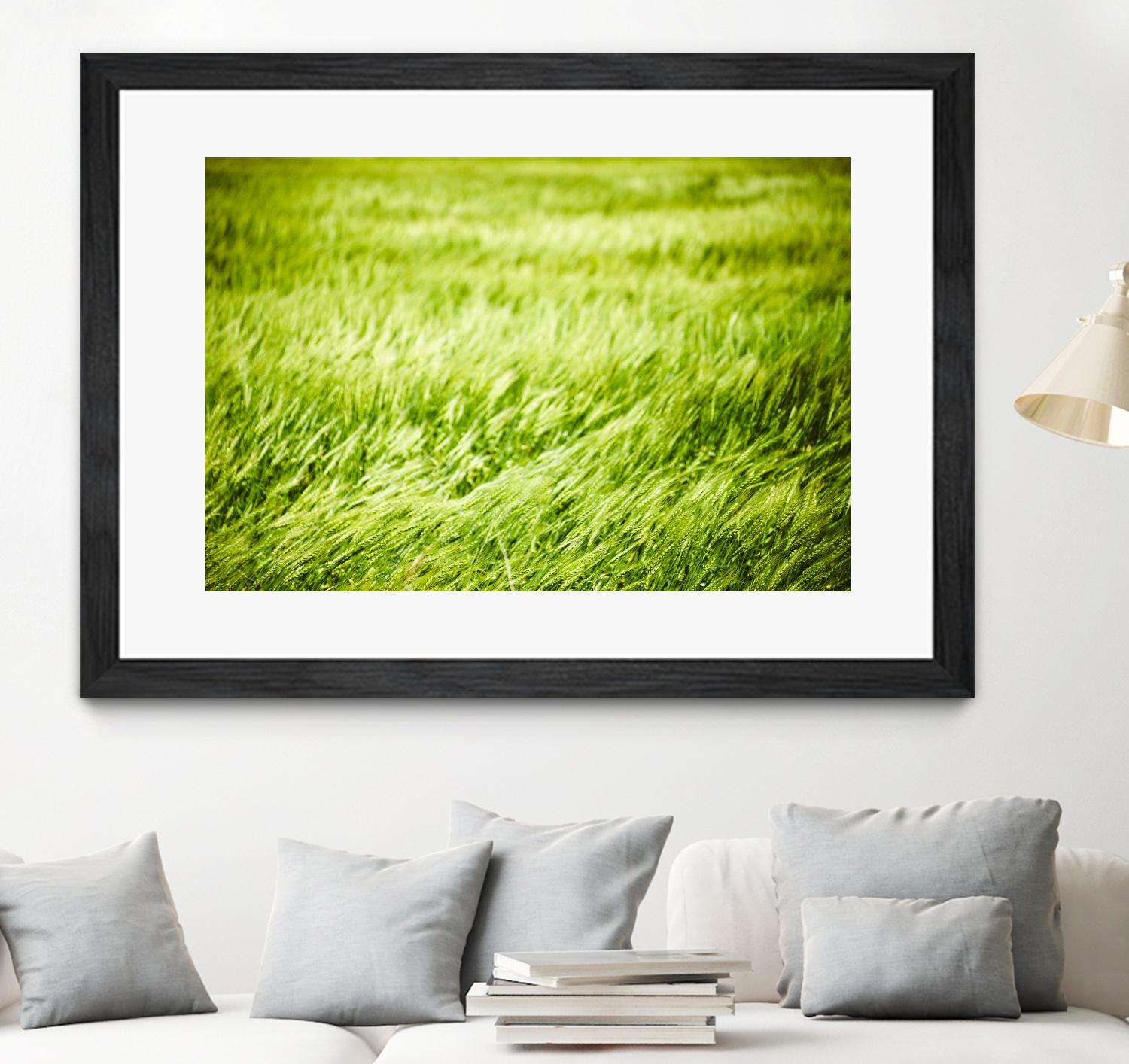Grass I by Peter Morneau on GIANT ART - green photo art