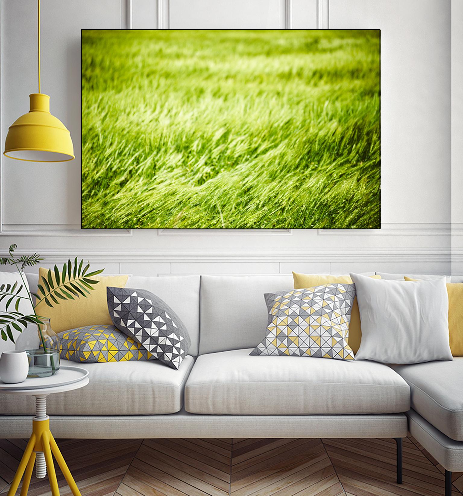 Grass I by Peter Morneau on GIANT ART - green photo art