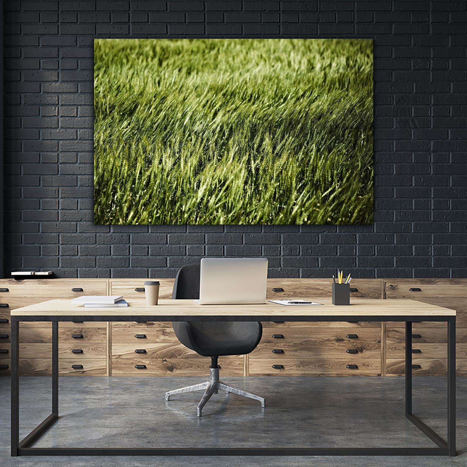 Grass II by Peter Morneau on GIANT ART - green photo art