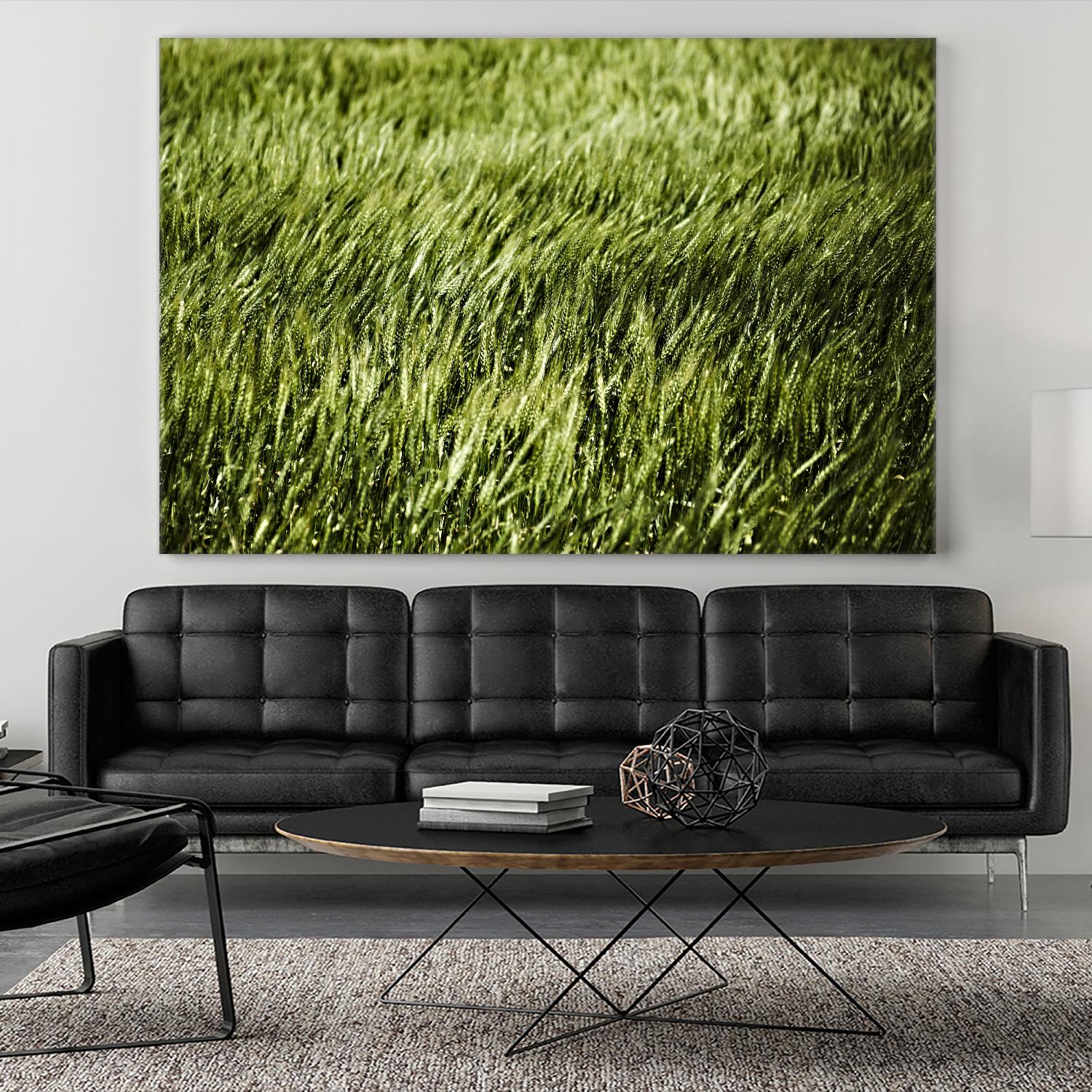 Grass II by Peter Morneau on GIANT ART - green photo art