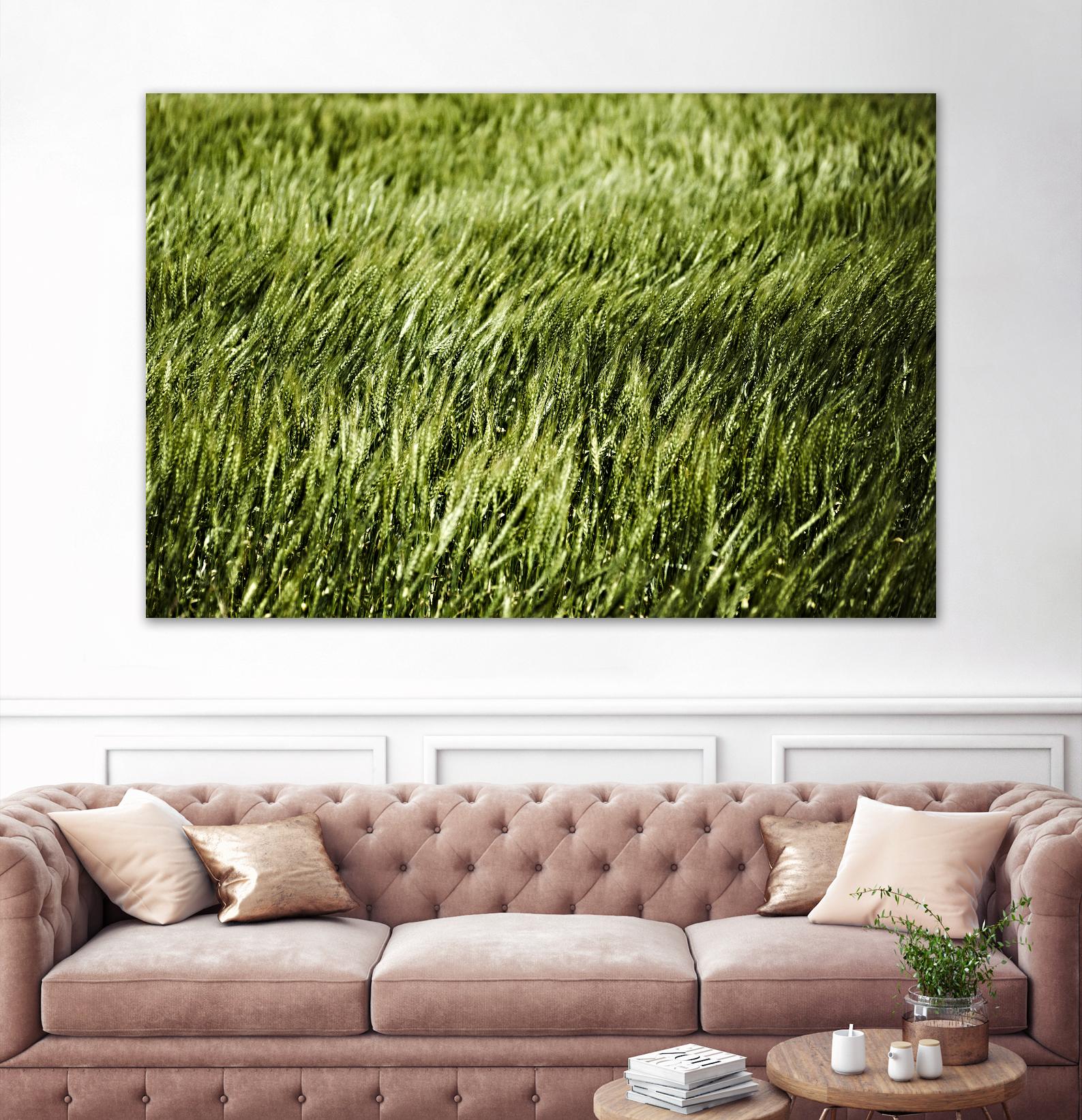 Grass II by Peter Morneau on GIANT ART - green photo art