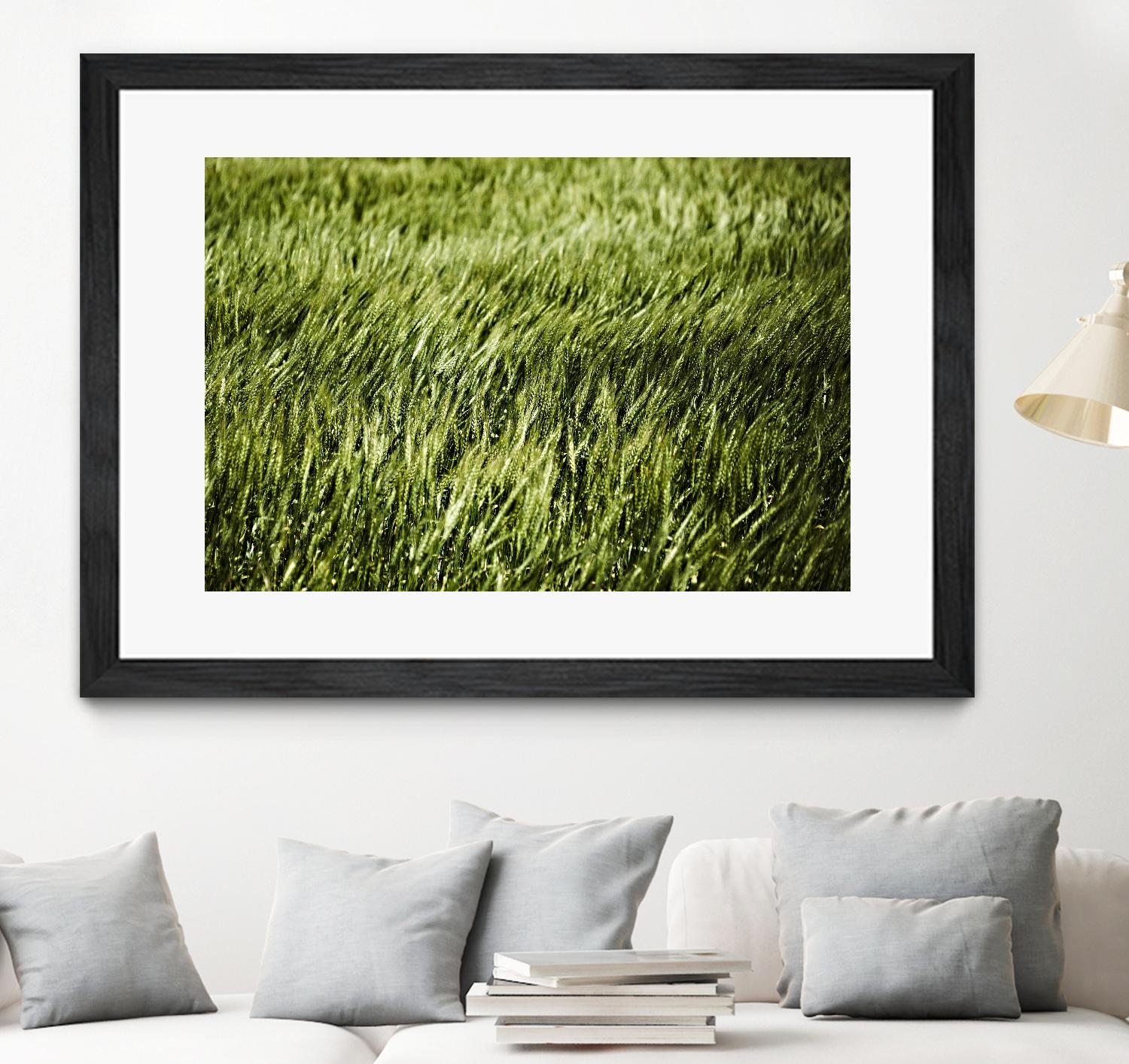 Grass II by Peter Morneau on GIANT ART - green photo art