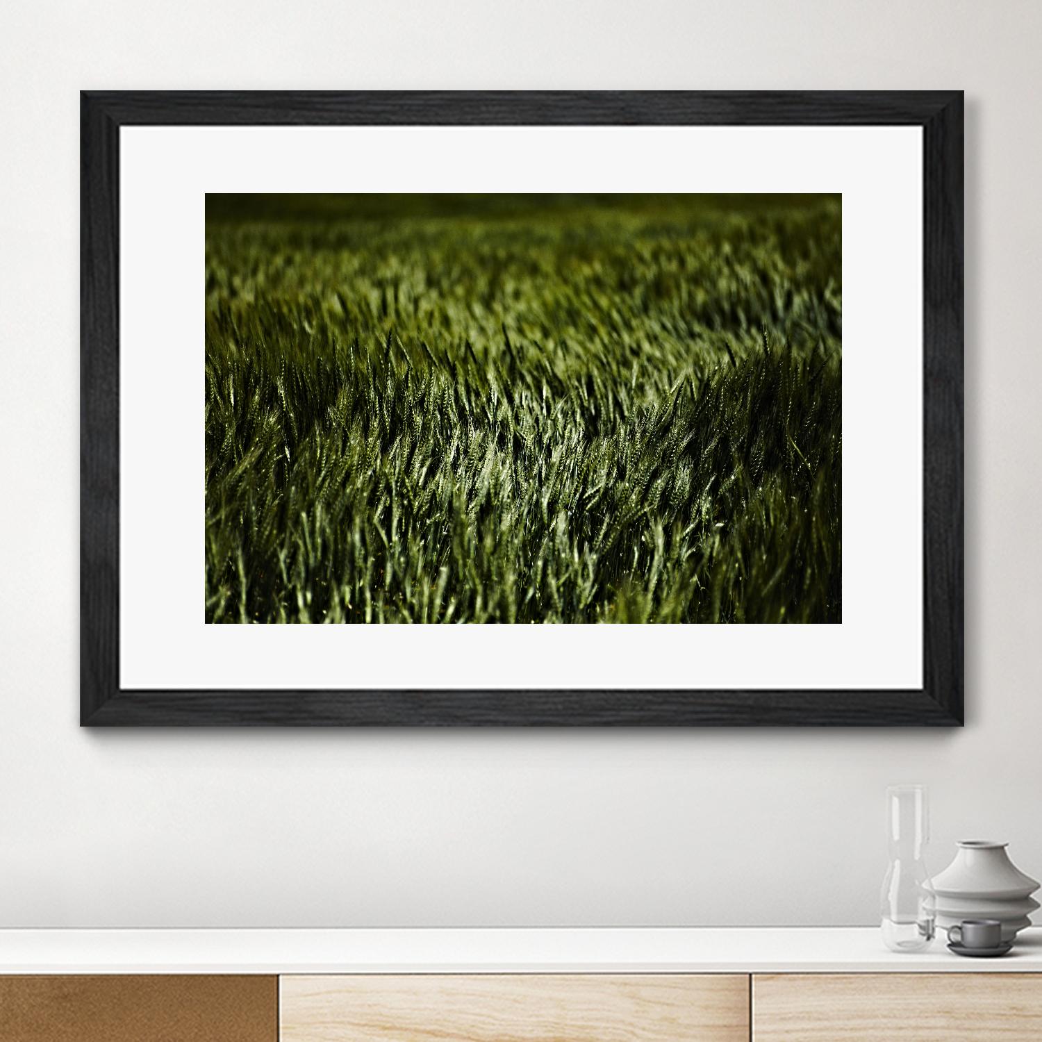 Grass III by Peter Morneau on GIANT ART - green photo art