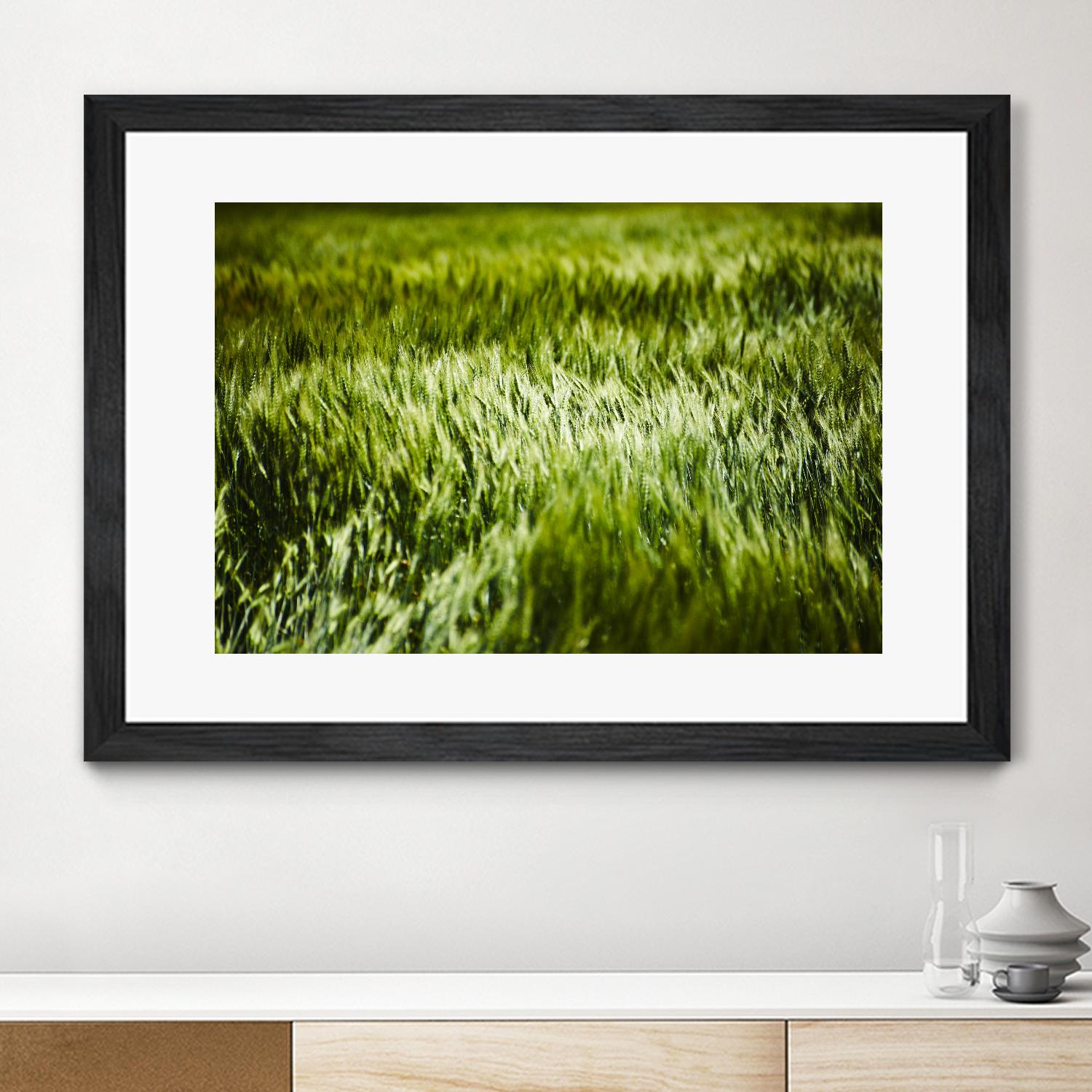 Grass IV by Peter Morneau on GIANT ART - green photo art