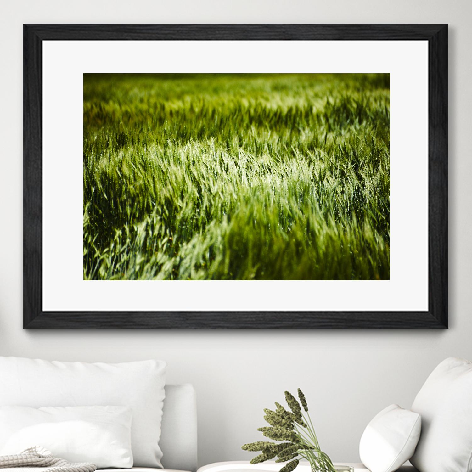 Grass IV by Peter Morneau on GIANT ART - green photo art