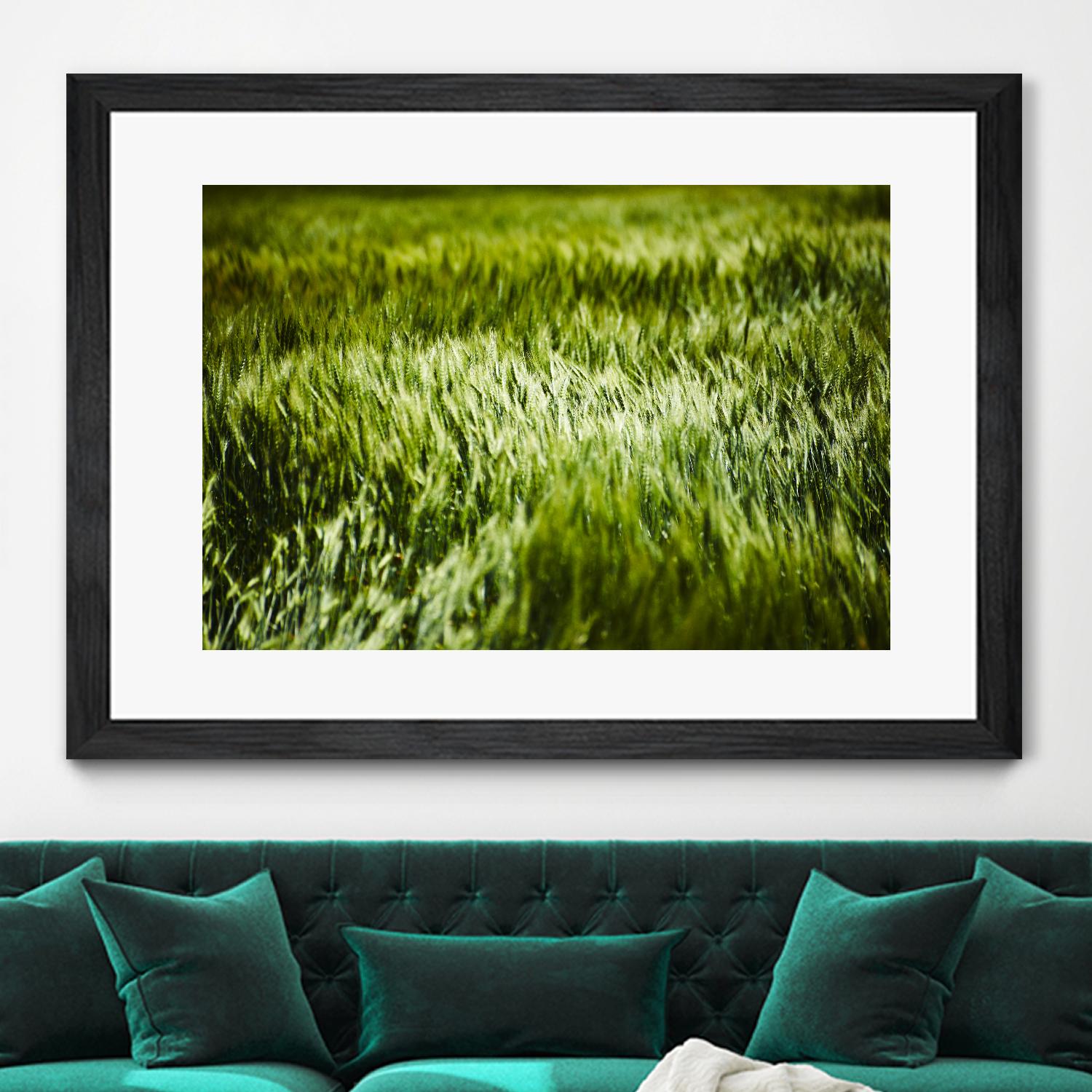 Grass IV by Peter Morneau on GIANT ART - green photo art