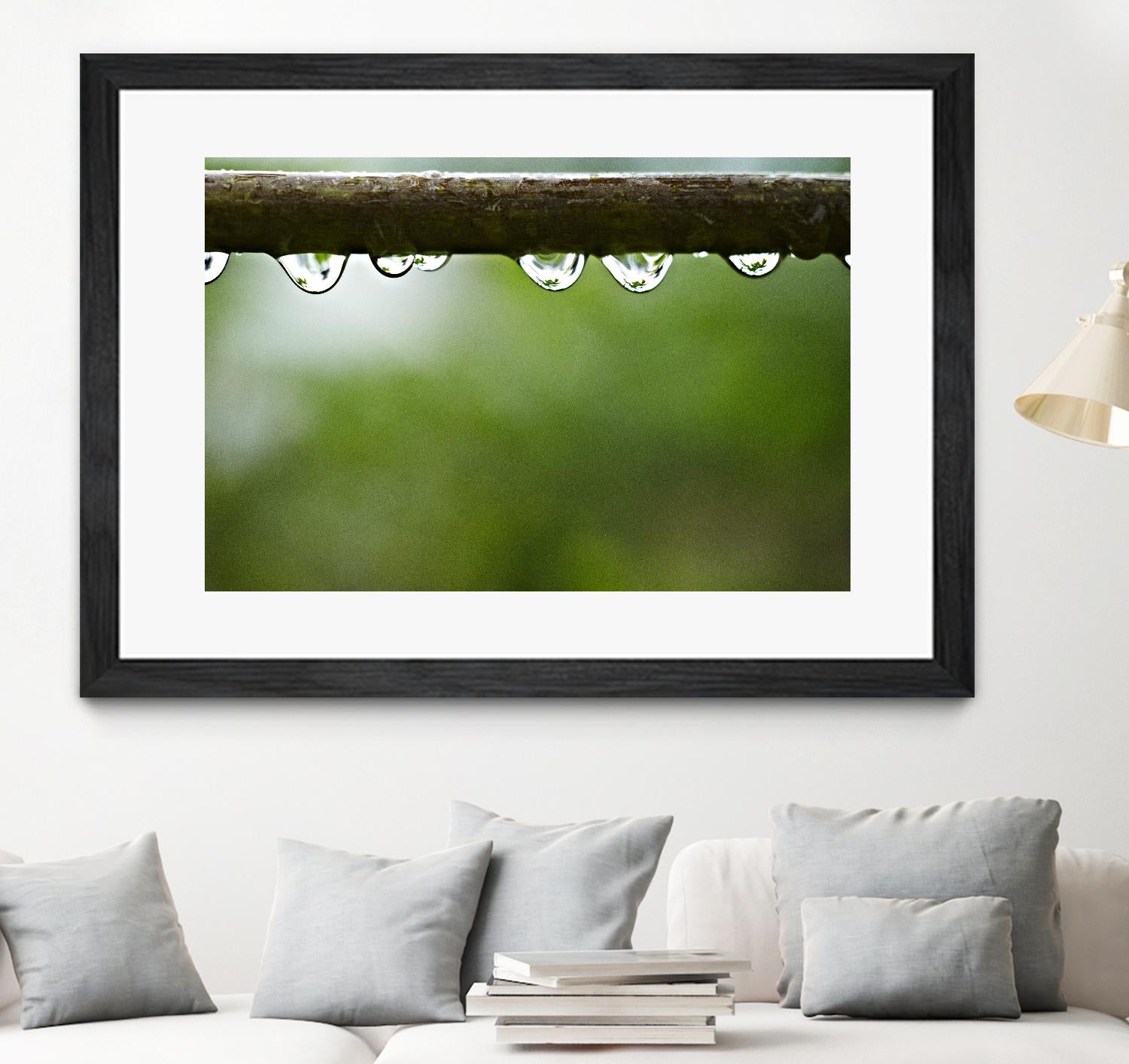 Drops of water II by Peter Morneau on GIANT ART - brown photo art