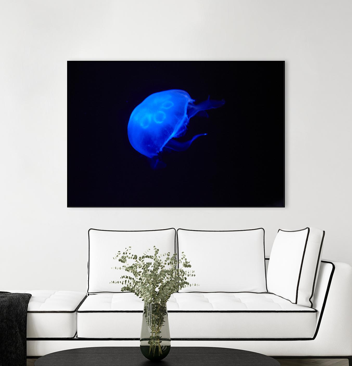 Blue and black II by Peter Morneau on GIANT ART - black photo art