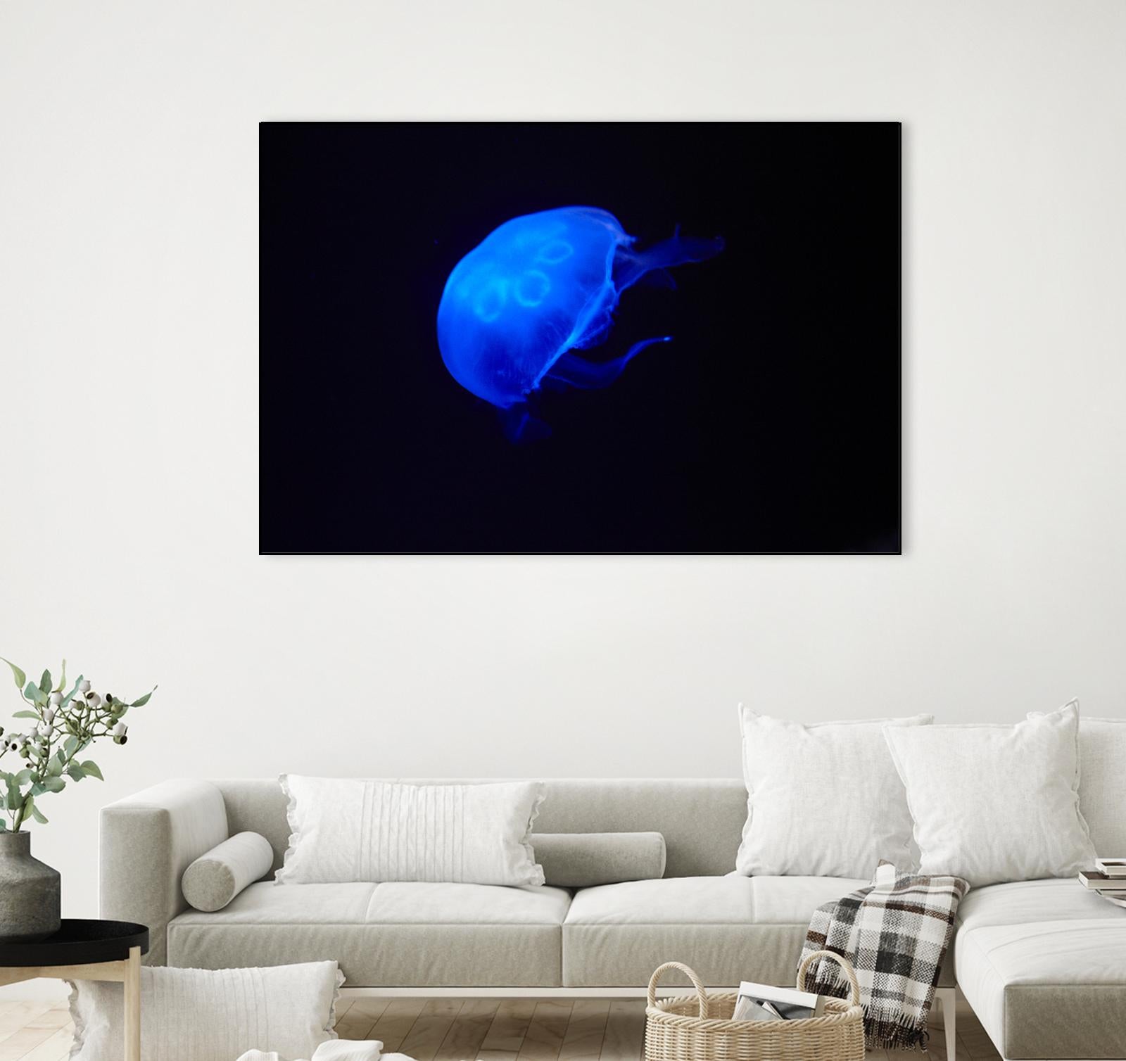 Blue and black II by Peter Morneau on GIANT ART - black photo art