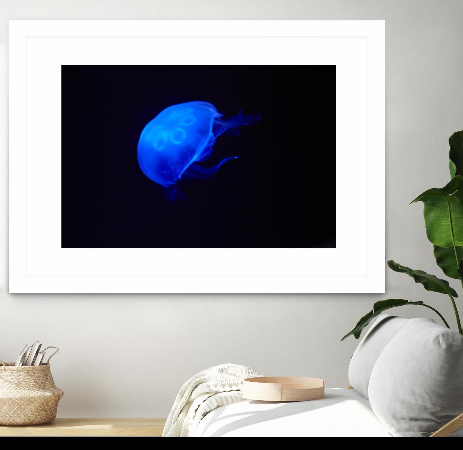 Blue and black II by Peter Morneau on GIANT ART - black photo art