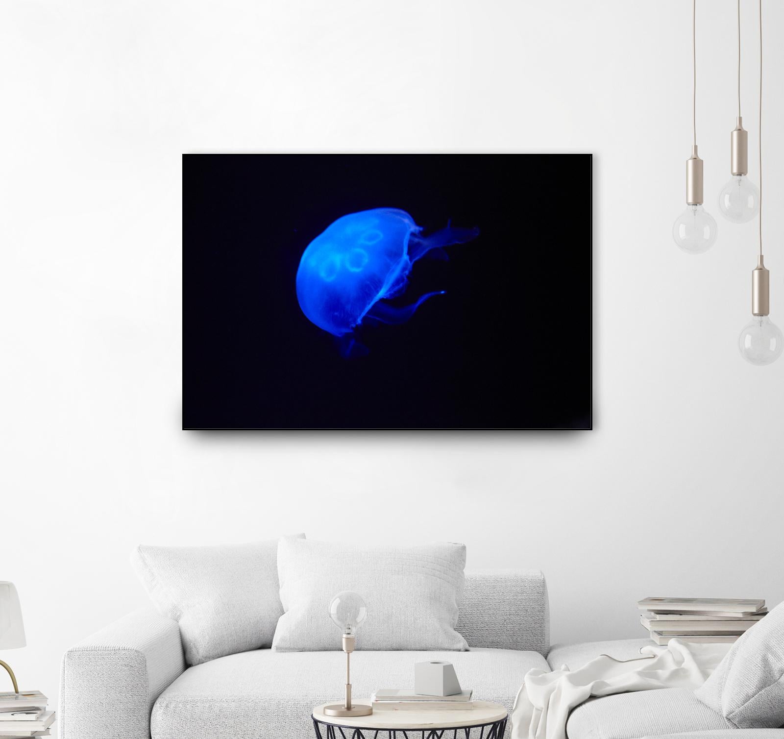 Blue and black II by Peter Morneau on GIANT ART - black photo art