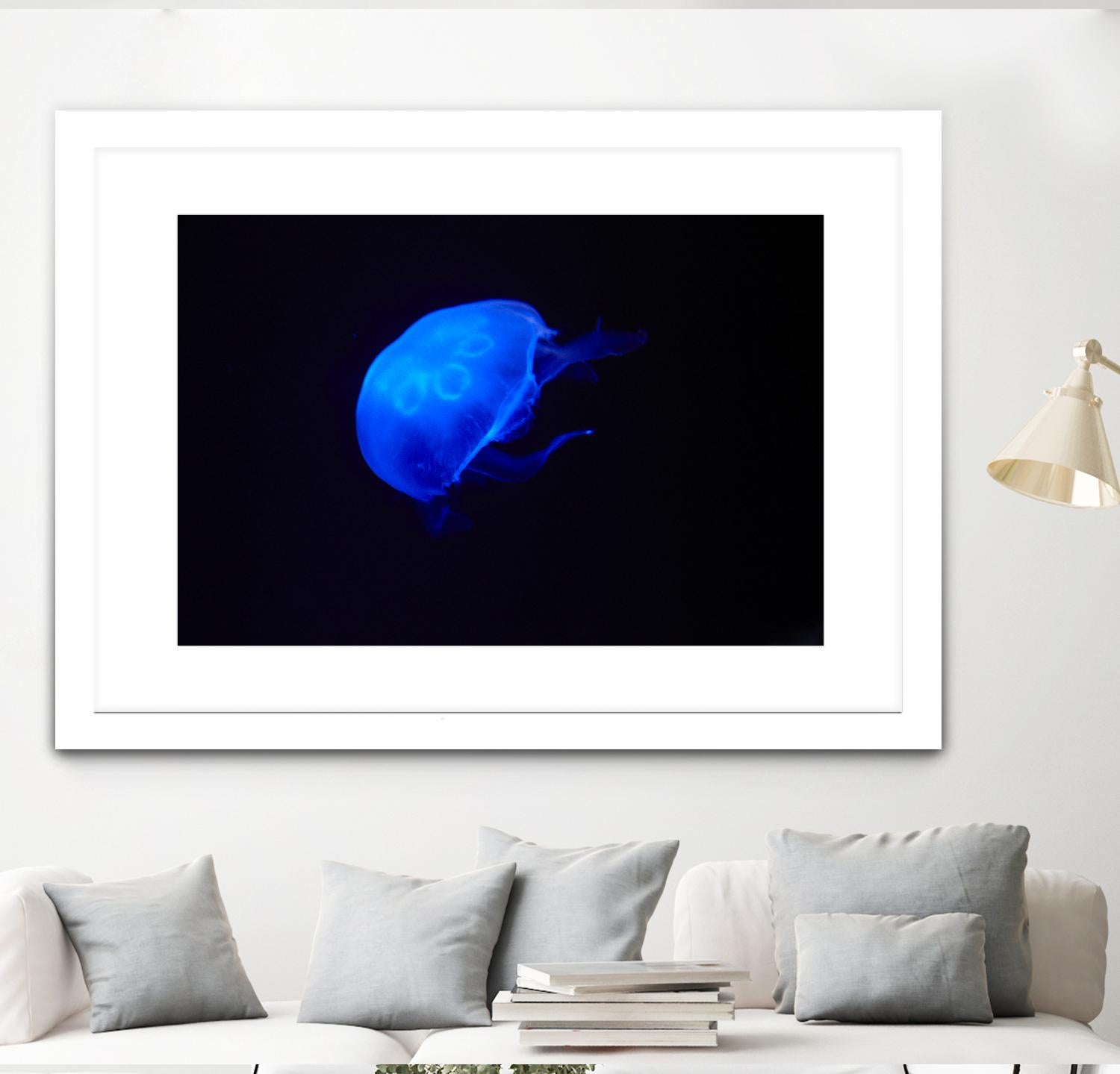 Blue and black II by Peter Morneau on GIANT ART - black photo art