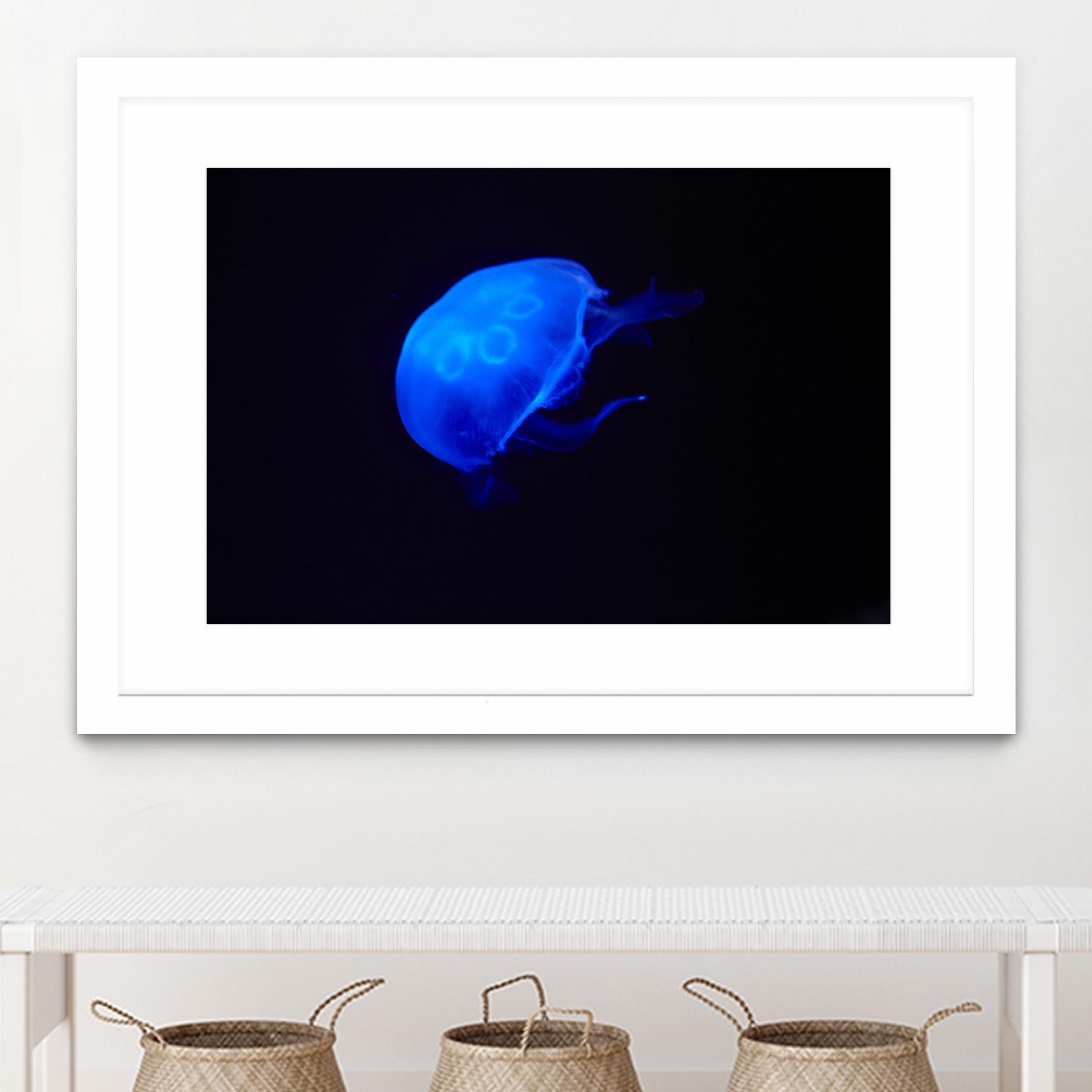 Blue and black II by Peter Morneau on GIANT ART - black photo art