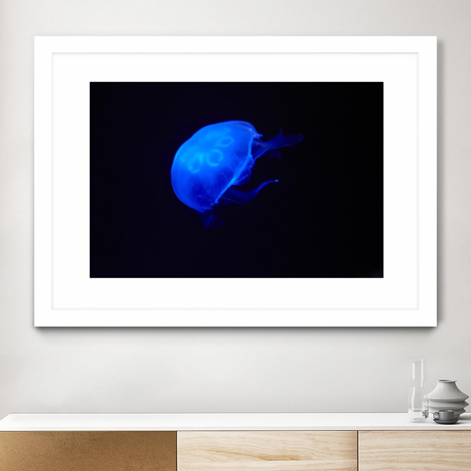 Blue and black II by Peter Morneau on GIANT ART - black photo art