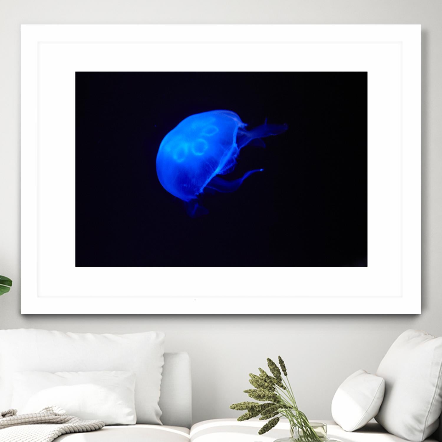 Blue and black II by Peter Morneau on GIANT ART - black photo art