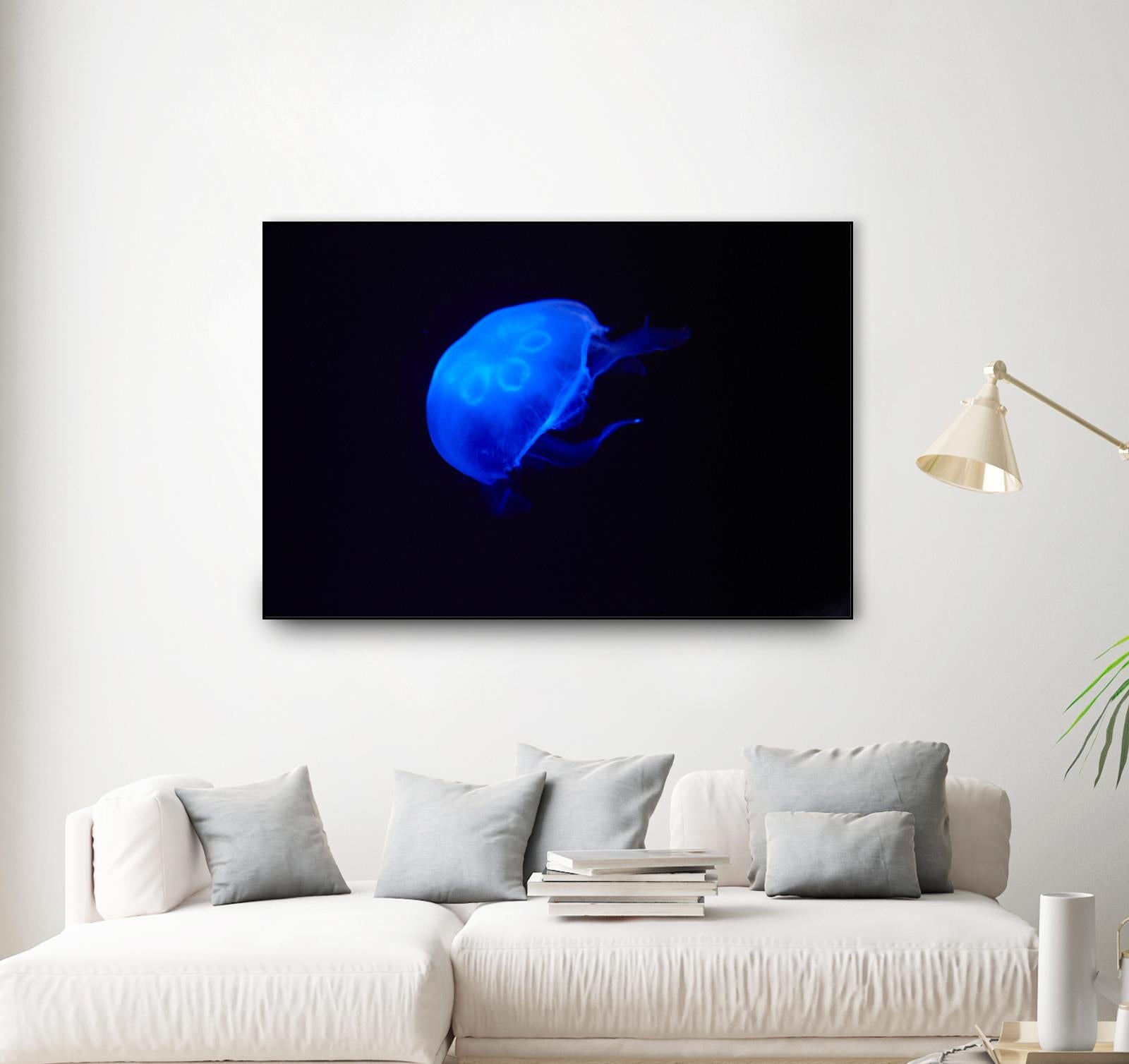 Blue and black II by Peter Morneau on GIANT ART - black photo art