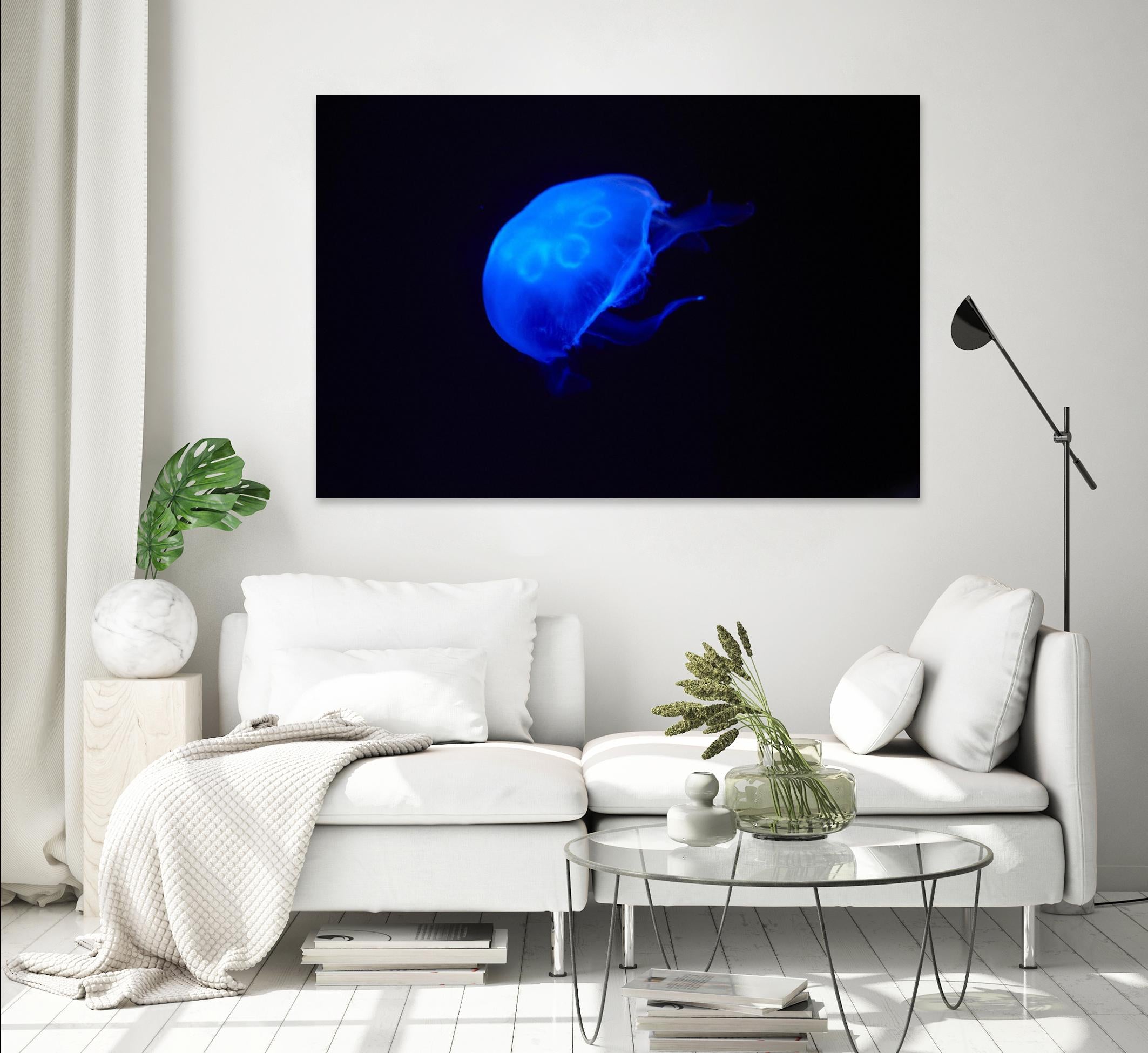 Blue and black II by Peter Morneau on GIANT ART - black photo art