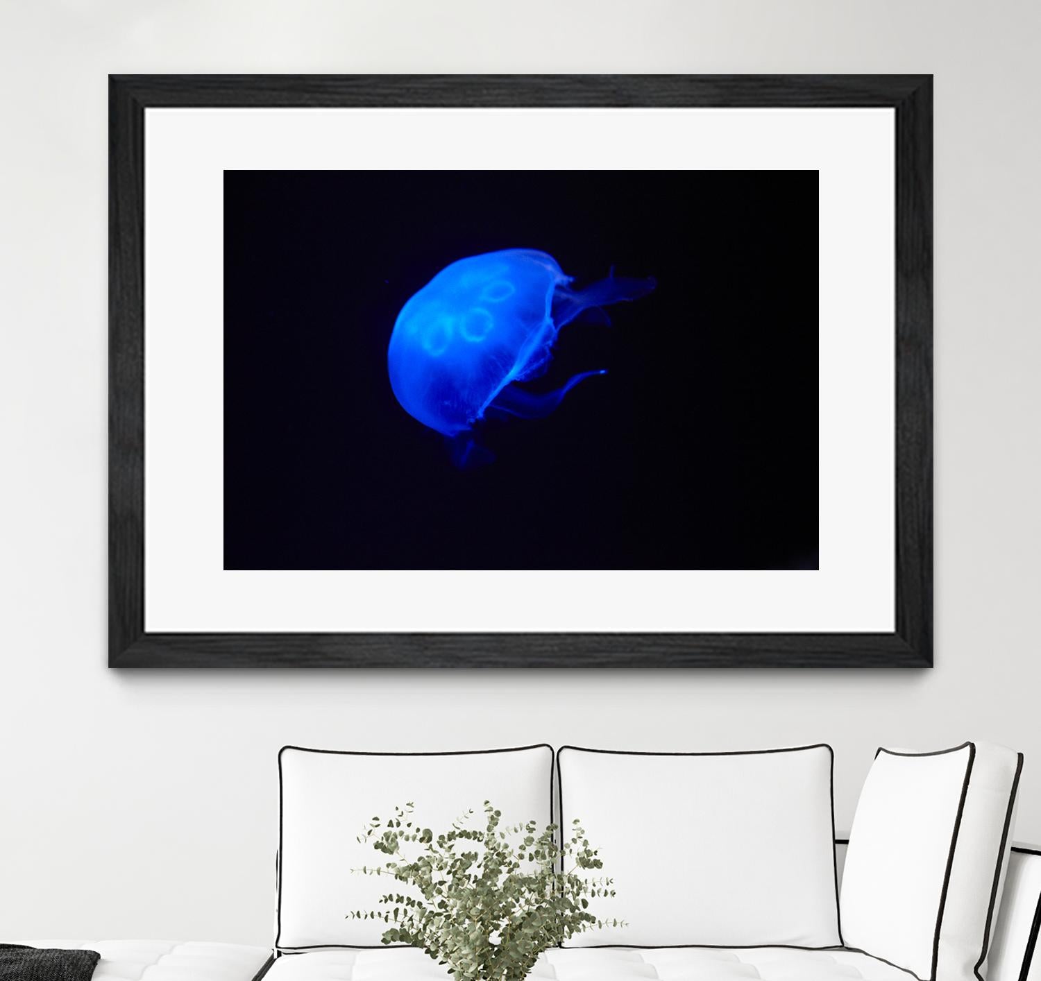 Blue and black II by Peter Morneau on GIANT ART - black photo art