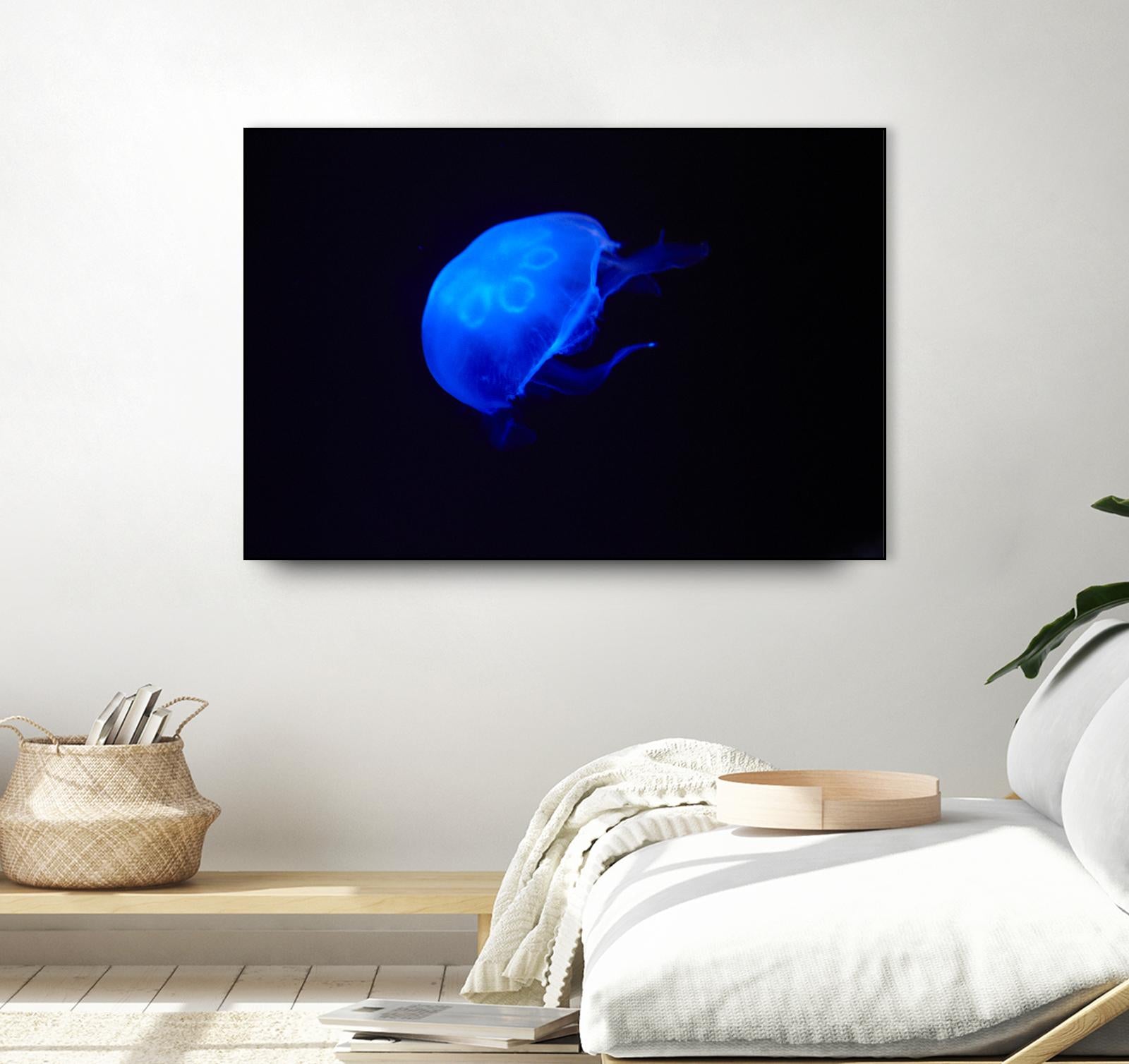 Blue and black II by Peter Morneau on GIANT ART - black photo art