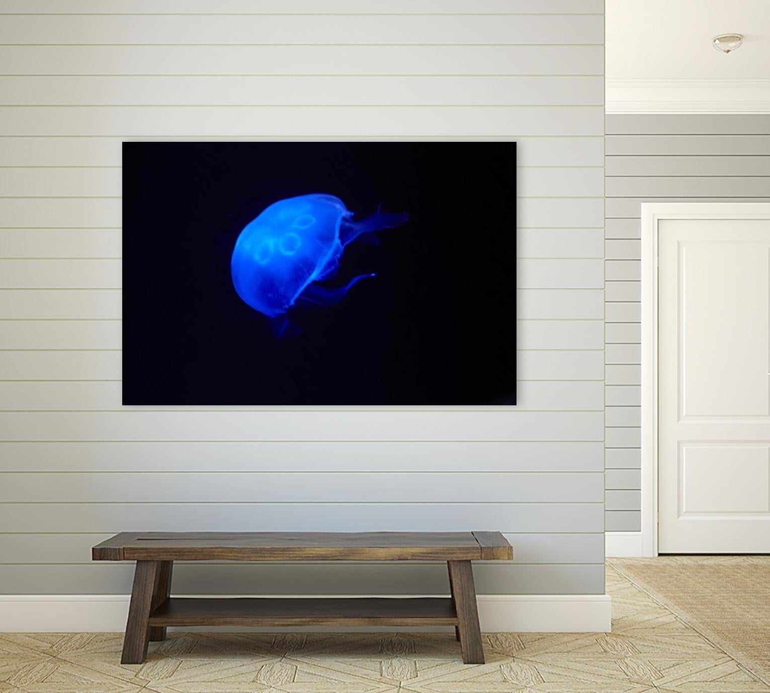 Blue and black II by Peter Morneau on GIANT ART - black photo art