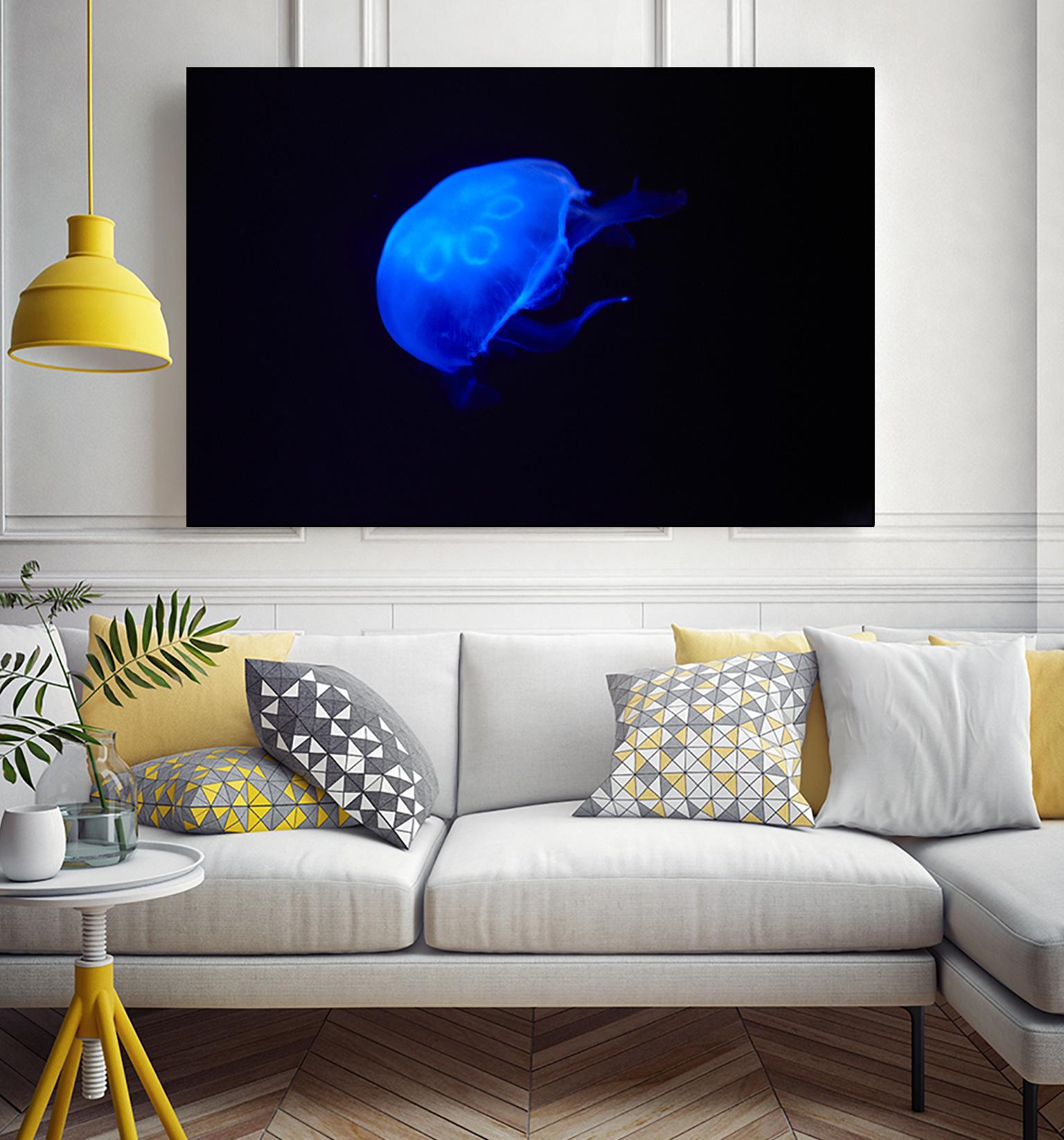 Blue and black II by Peter Morneau on GIANT ART - black photo art