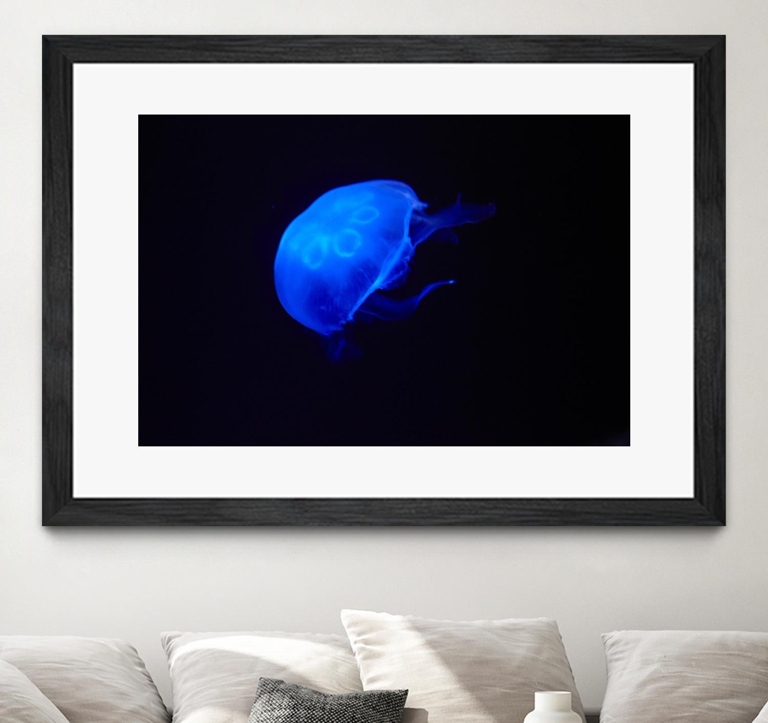 Blue and black II by Peter Morneau on GIANT ART - black photo art