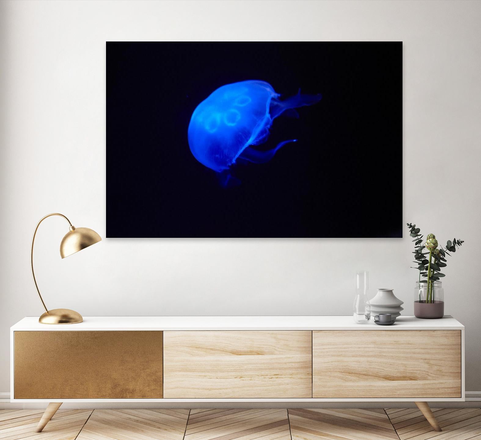 Blue and black II by Peter Morneau on GIANT ART - black photo art