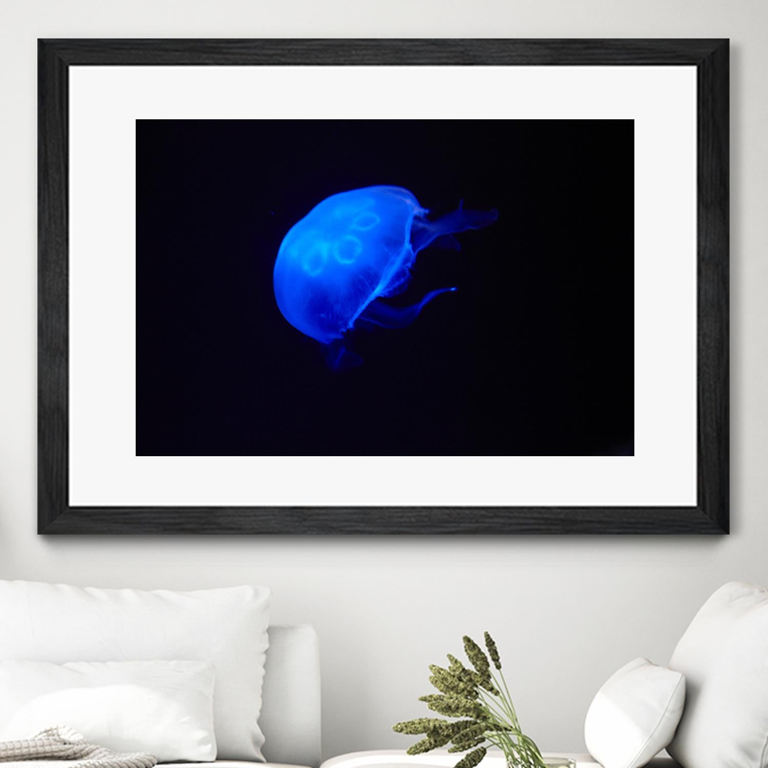 Blue and black II by Peter Morneau on GIANT ART - black photo art