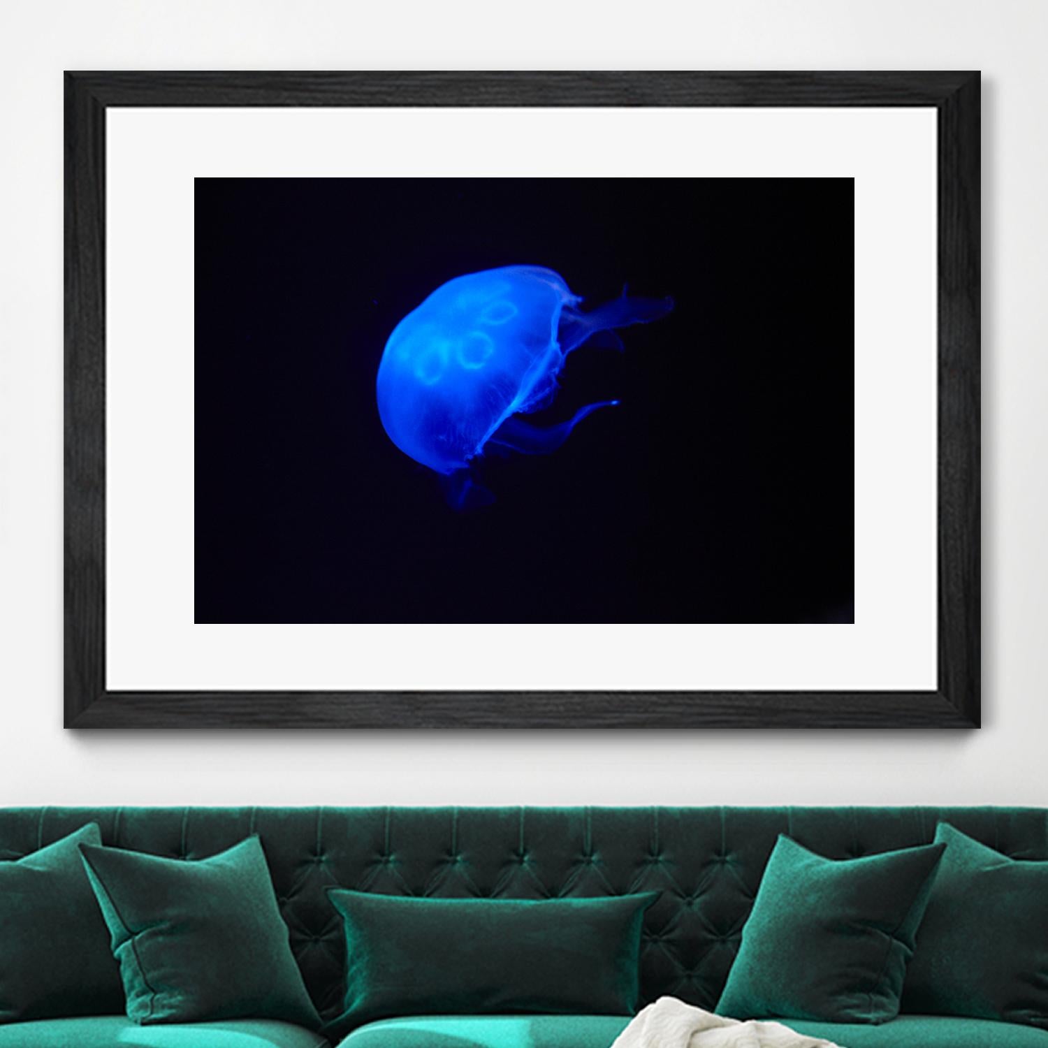 Blue and black II by Peter Morneau on GIANT ART - black photo art